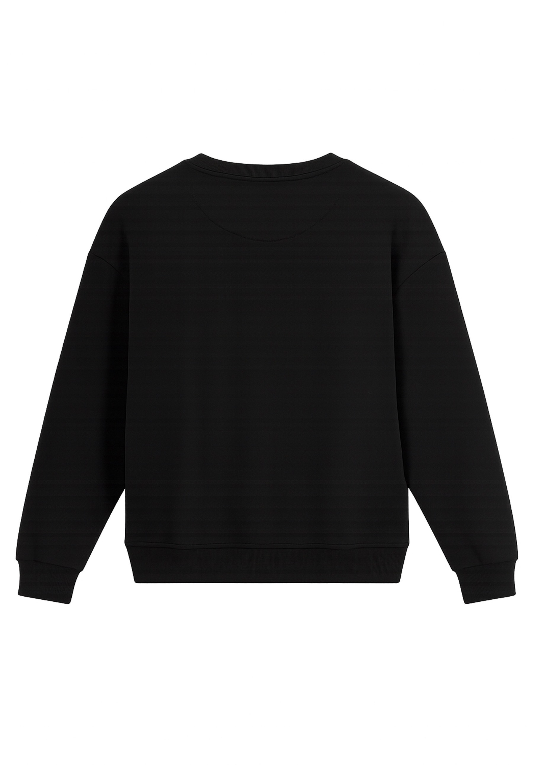 Just Rhyse Kapuzenpullover "Just Rhyse Just Rhyse Firework Pullover" 1 Stk. günstig online kaufen