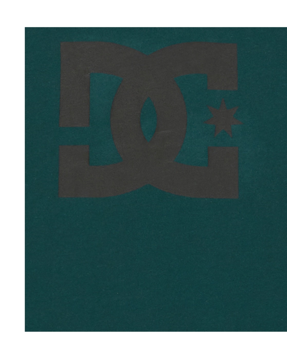 DC Shoes Langarmshirt »DC Star Hls«