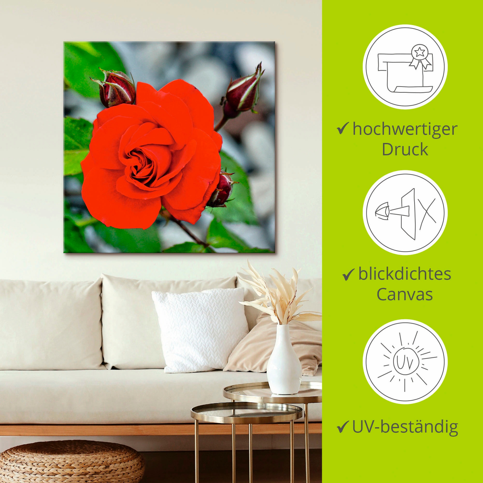 Artland Wandbild »Rote Rosenblüte mit Knospen«, Blumen, (1 St.), als Leinwandbild, Wandaufkleber in verschied. Größen