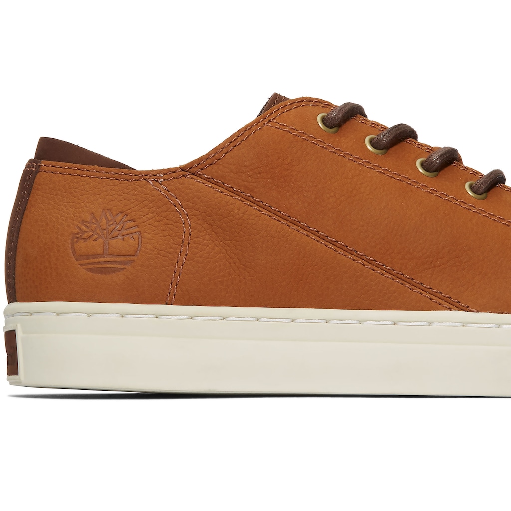 Timberland Sneaker »Adv 2.0 Cupsole Modern Ox«