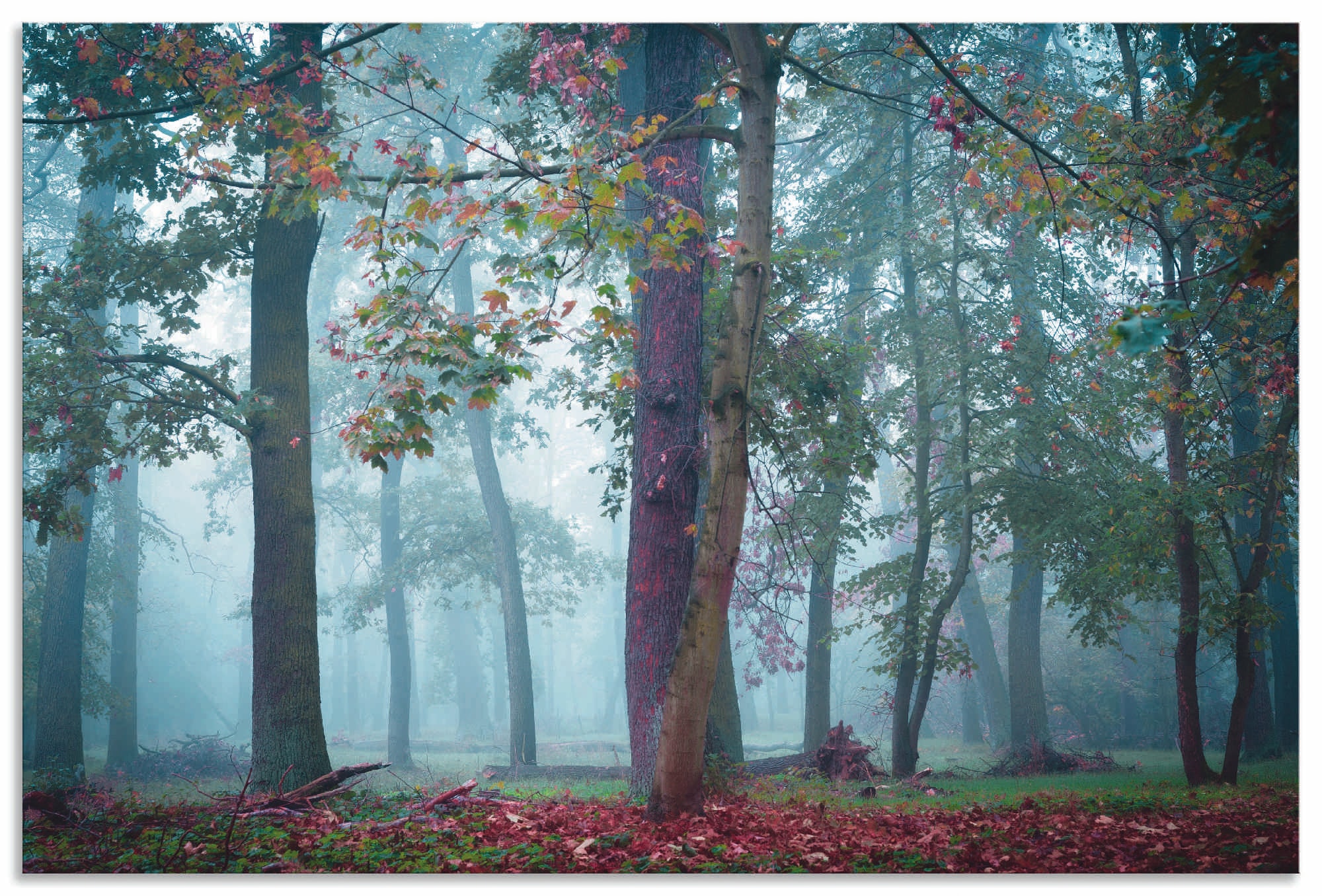 Artland Wandbild "Nebel im Wald", Waldbilder, (1 St.), als Alubild, Outdoor günstig online kaufen