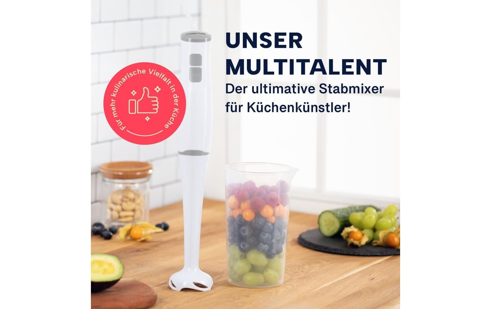 GOURMETmaxx Stabmixer »13767 Weiss« 400 W Kraftvoller Stabmixer