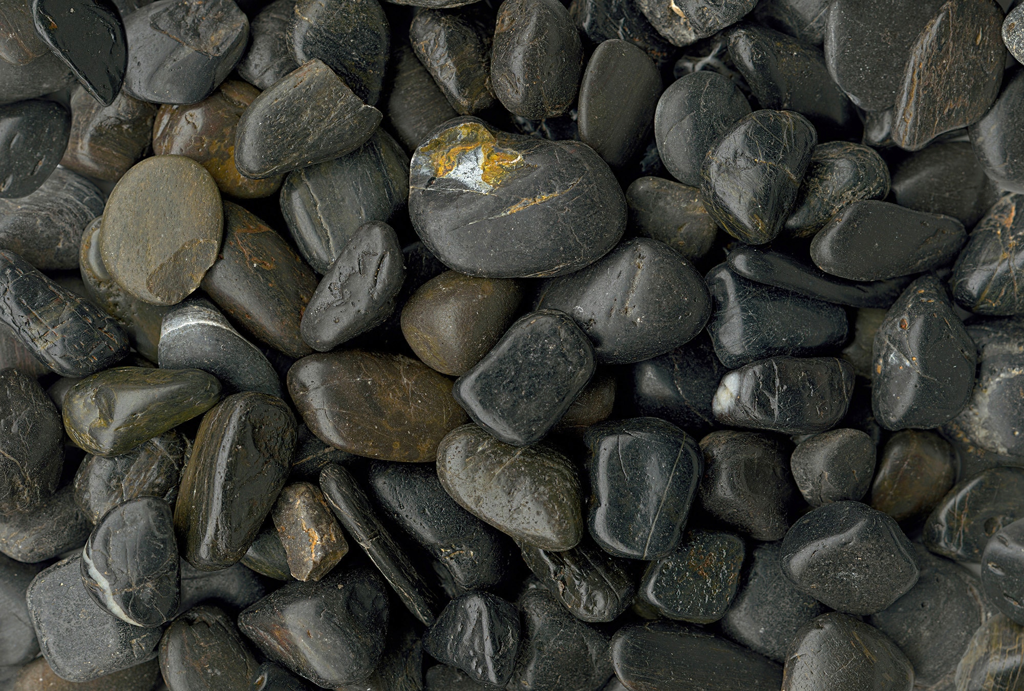 Architects Paper Fototapetas »Pebble Stone Black« Vlies...