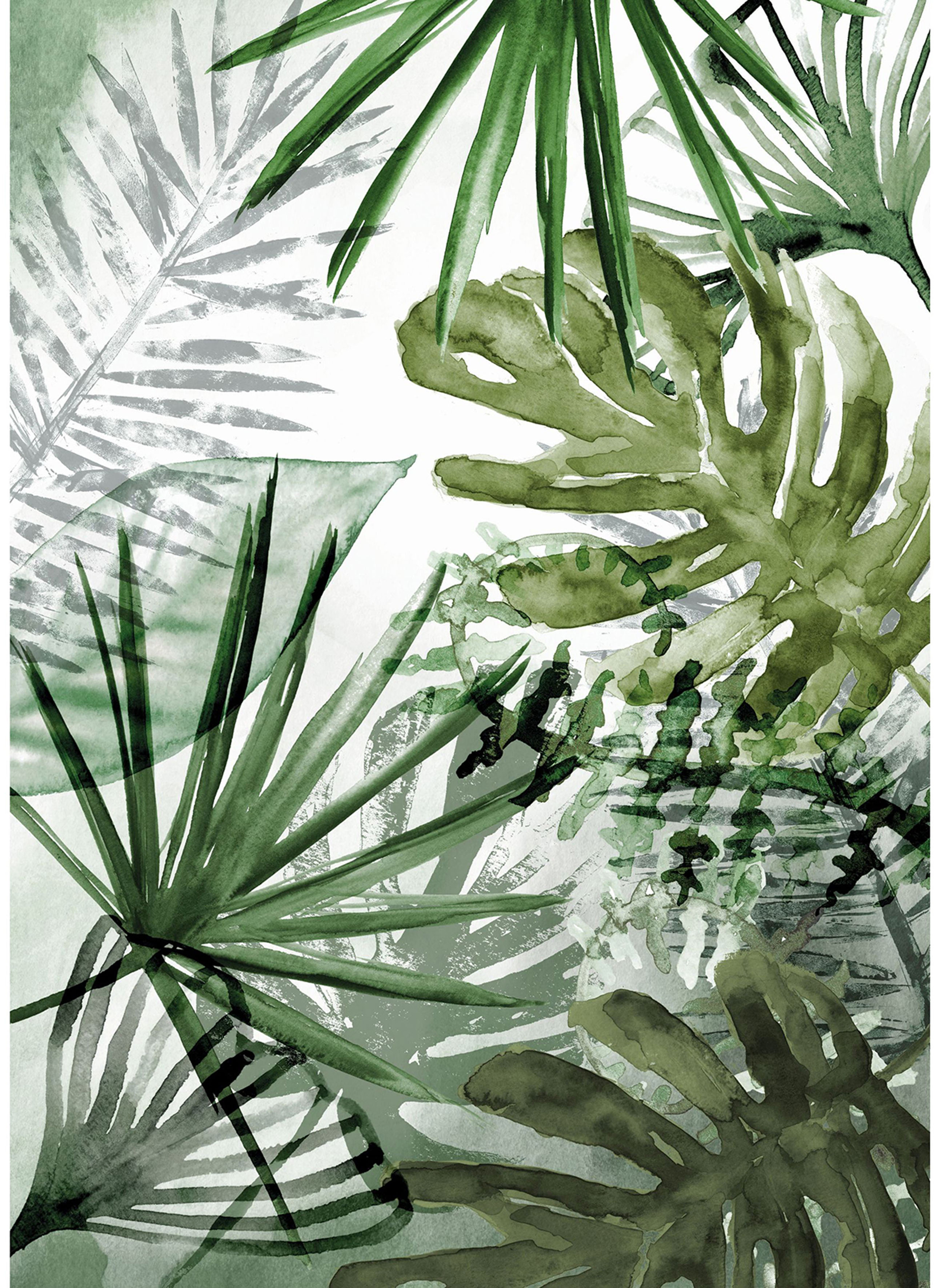 Art for the home Fototapete "Palmenmix" botanisch floral glatt Monstera Pflanzen 280x200 cm