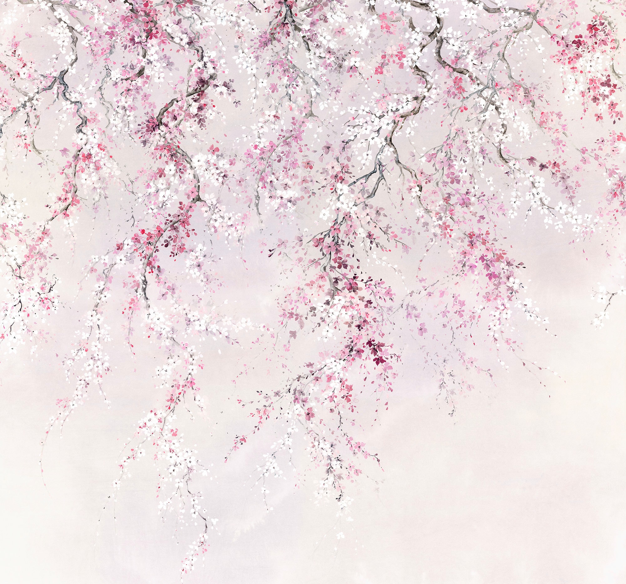 Komar Vliestapete »Kirschblüten«, 300x280 cm (Breite x Höhe)