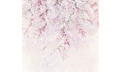 Komar Fototapete »Vliestapete Kirschblüten«, bedruckt-geblümt-floral-realistisch, 300... kaufen