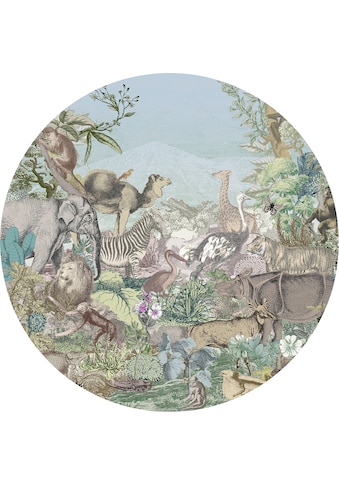 Komar Fototapetas »Animal Kingdom« 125x125 c...