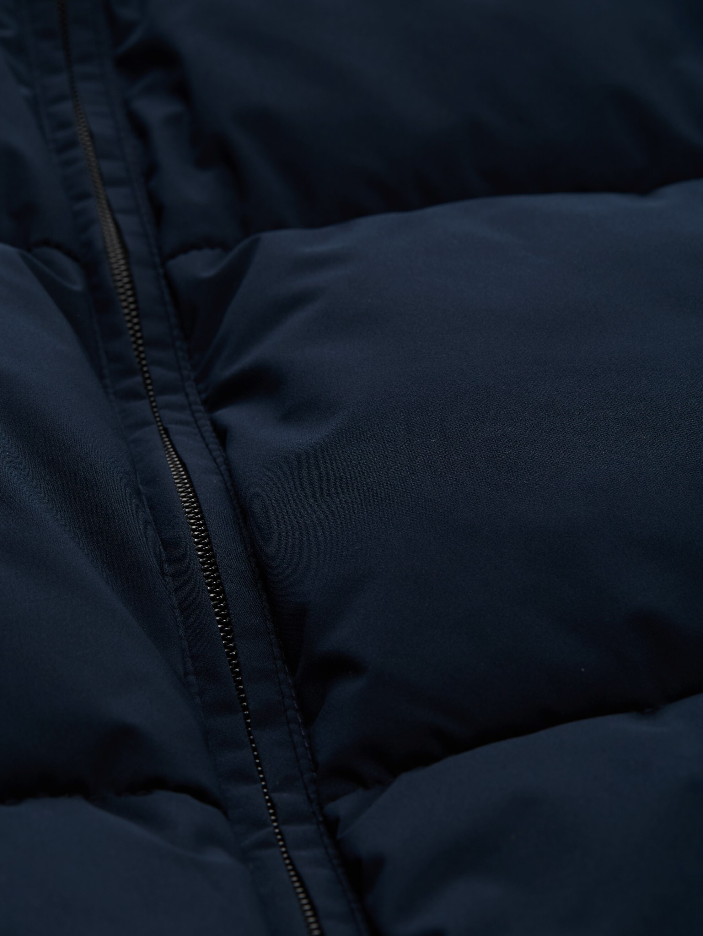 TOM TAILOR Denim Steppjacke, mit Taschen