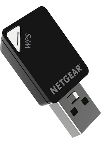 NETGEAR WLAN-Adapter »A6100-100PES«