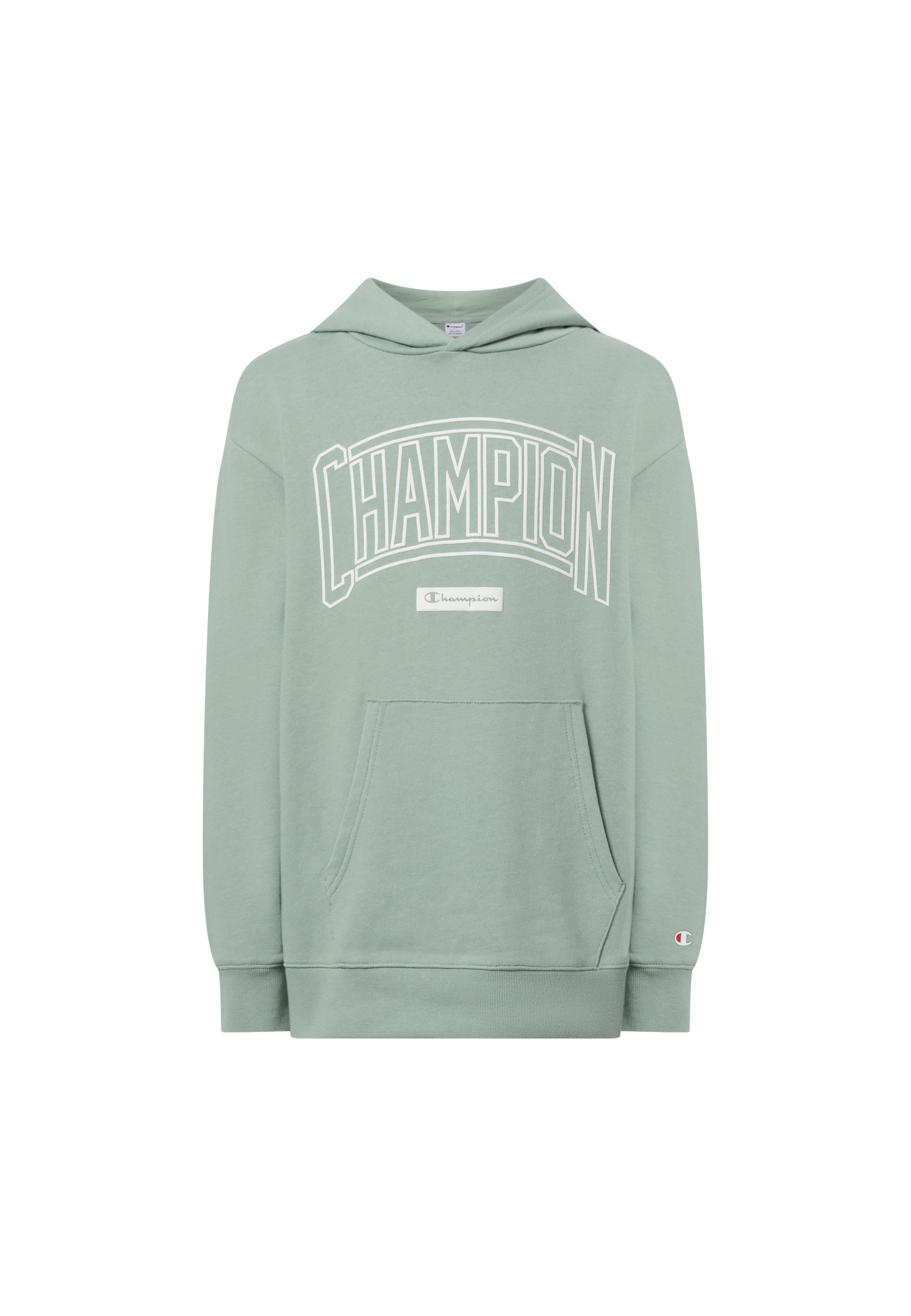 Champion Kapuzensweatshirt »COLLEGE Terry Hoodie Large Logo«, mit Kapuze, Langarm
