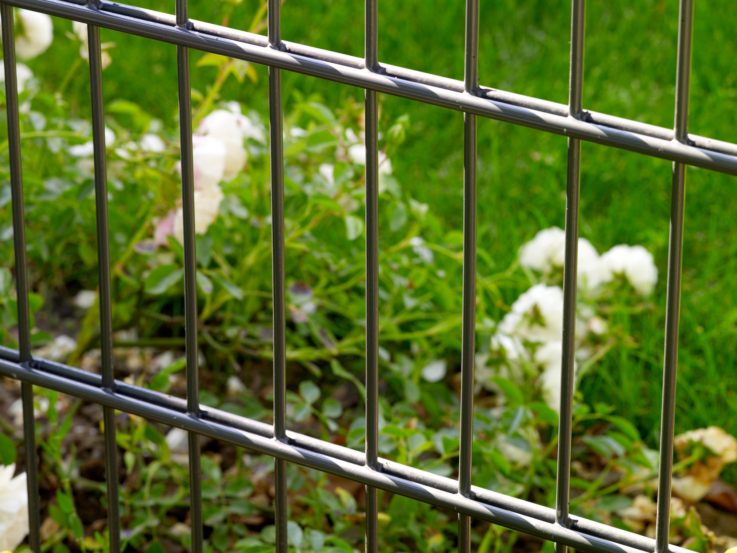 Peddy Shield Doppelstabmattenzaun 103 cm hoch, 5 Matten für 10 m Zaun, mit 6 Pfosten