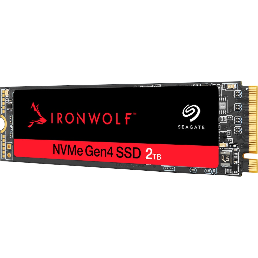 Seagate interne SSD »IronWolf®525«