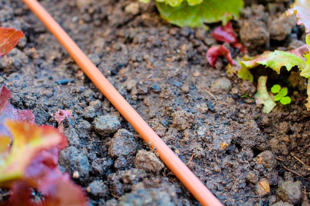 Vitavia Tropfschlauch »DP30«, Tropfschlauch für Balkon oder Beet