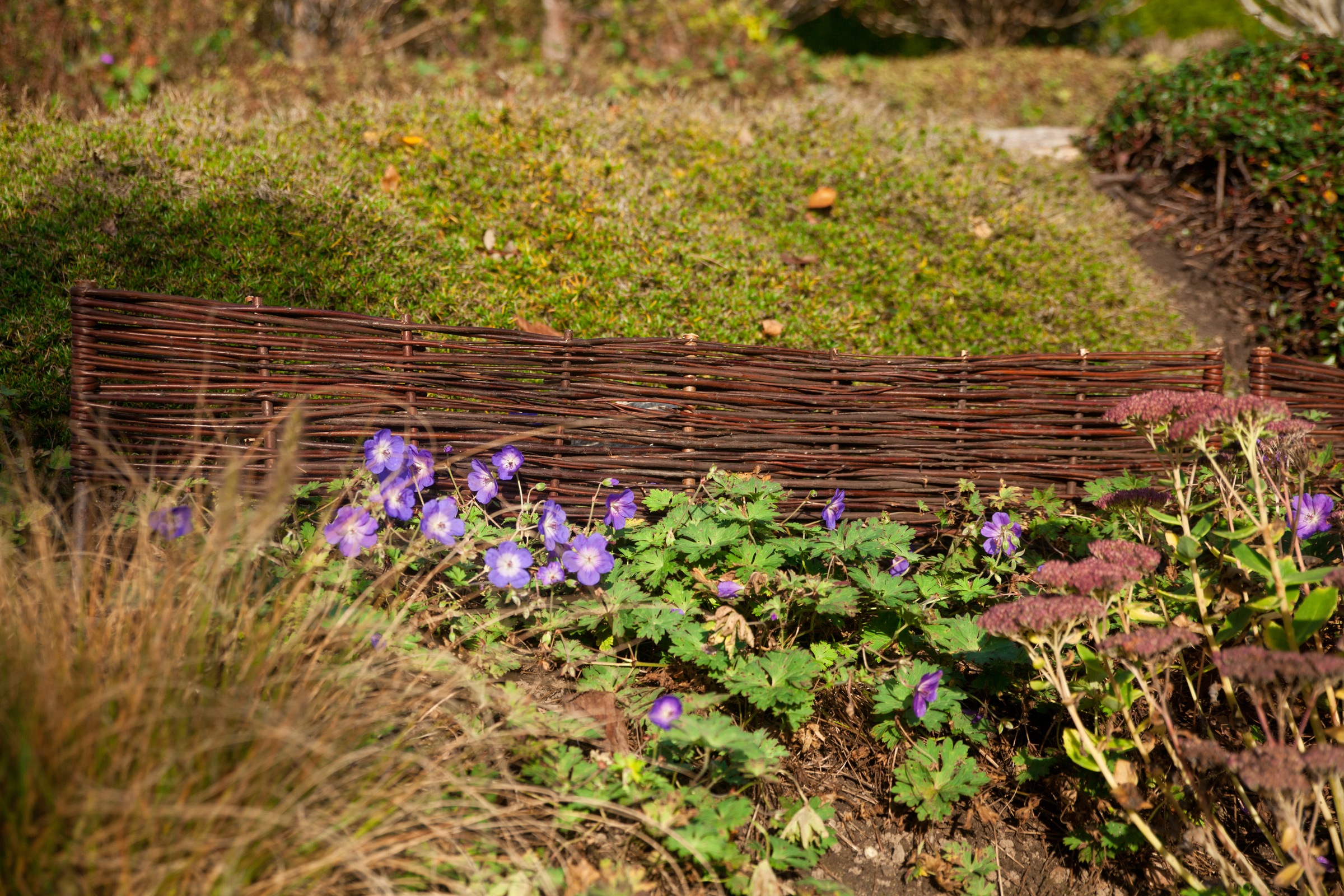 Beetbegrenzung KONIFERA, H:35cmbraun, Holzwerkstoff, Beeteinfassungen, "aus geöltem Weidenholz", Mini-Beetgrenze 120x35 cm