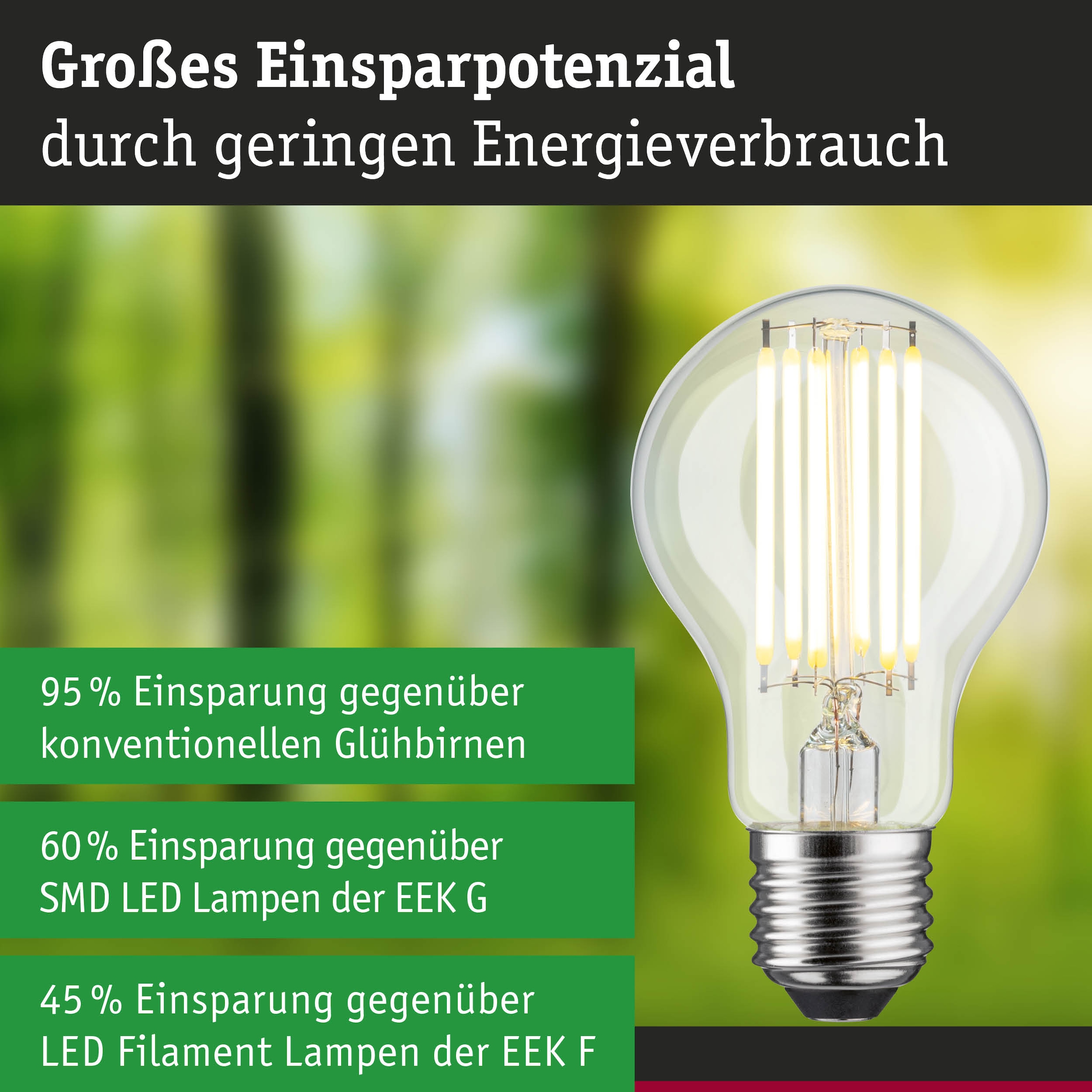 Paulmann LED-Leuchtmittel »Efficient-Line Filament 230V LED Birne E27 1 St. 1055lm 5W 3000K Klar« E27 1 Stk. Warmweiß