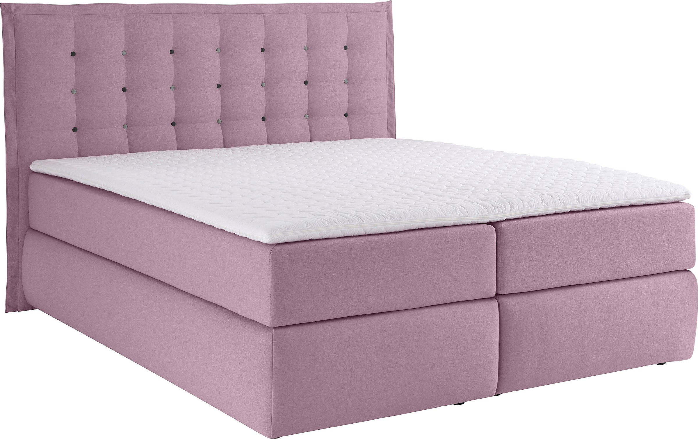 INOSIGN Boxspringbett »Sagres«, Kopfteil mit 2farbiger Flatterbiese und zweifarbigen Knöpfen