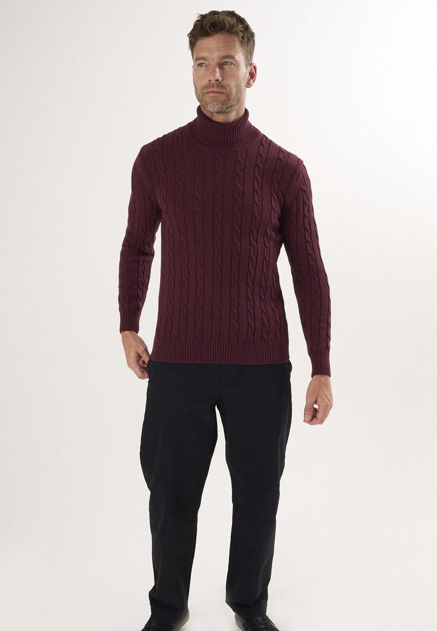 Felix Hardy Rollkragenpullover "Rollkragenpullover aus Kabelstrick" günstig online kaufen