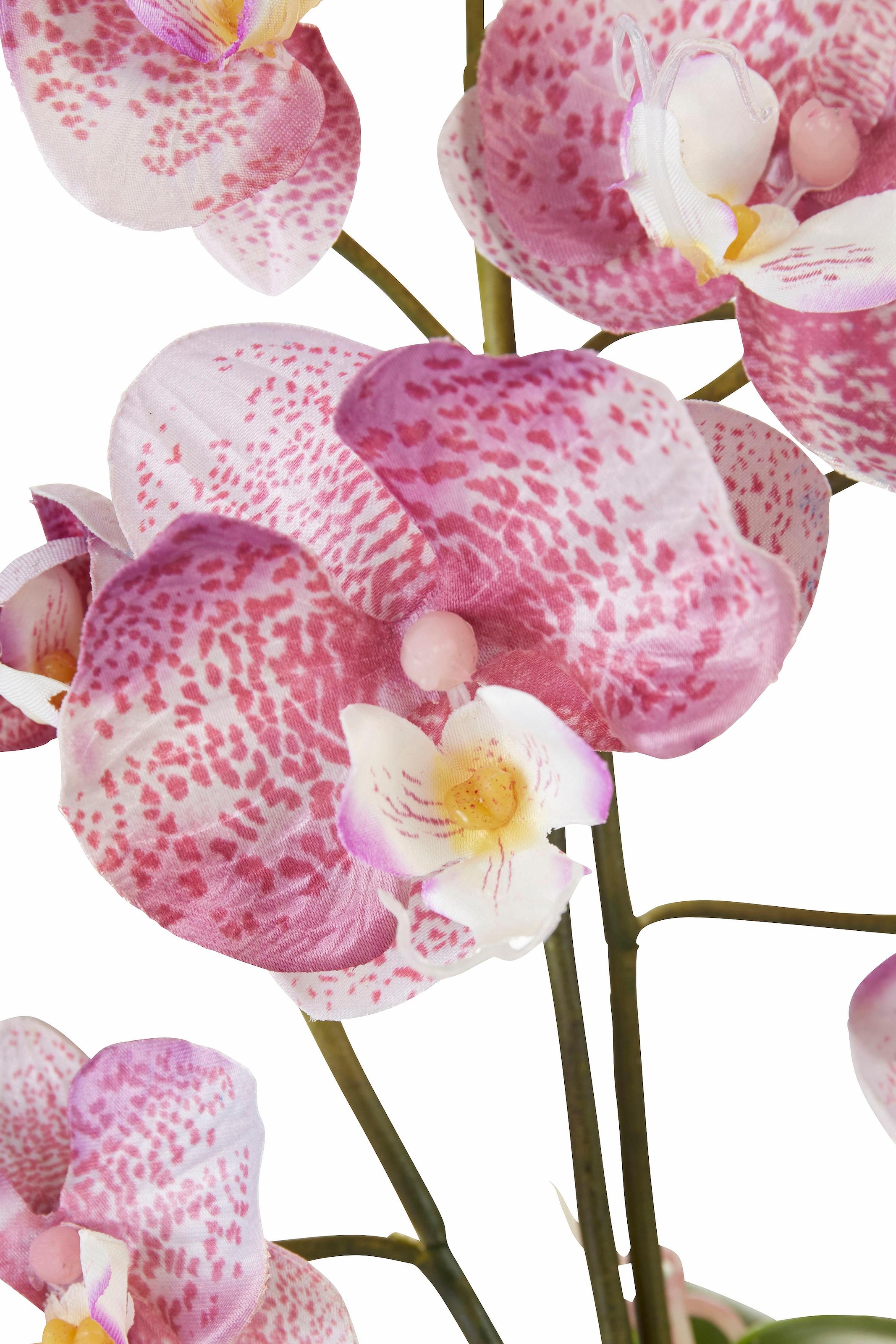 I.GE.A. Kunstpflanze »Orchidee«