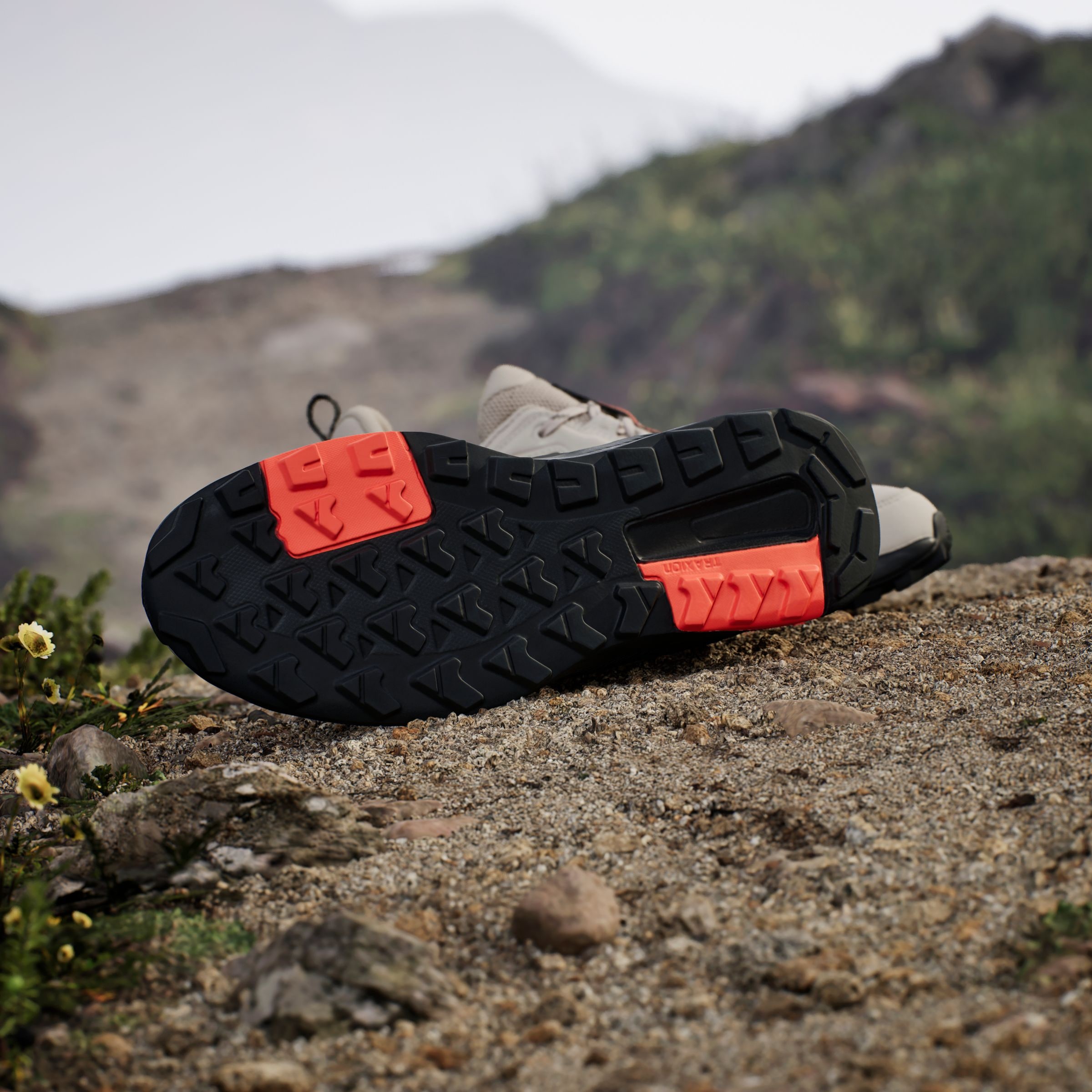 adidas TERREX Wanderschuh »TERREX ANYLANDER«
