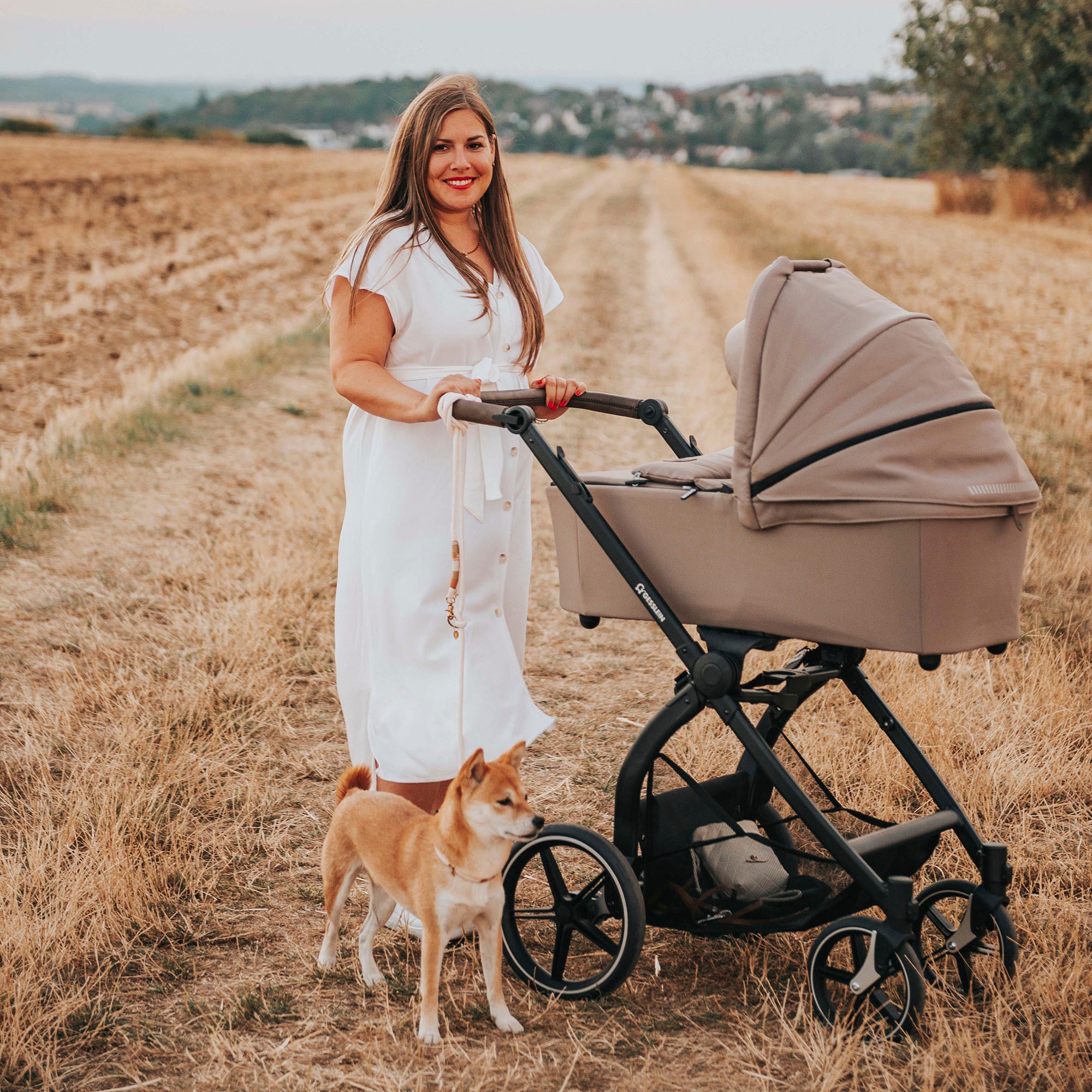 Gesslein Kombi-Kinderwagen »FX4 Soft+ mit Aufsatz Swing schwarz, sand«, mit Babywanne C3 und Babyschalenadapter