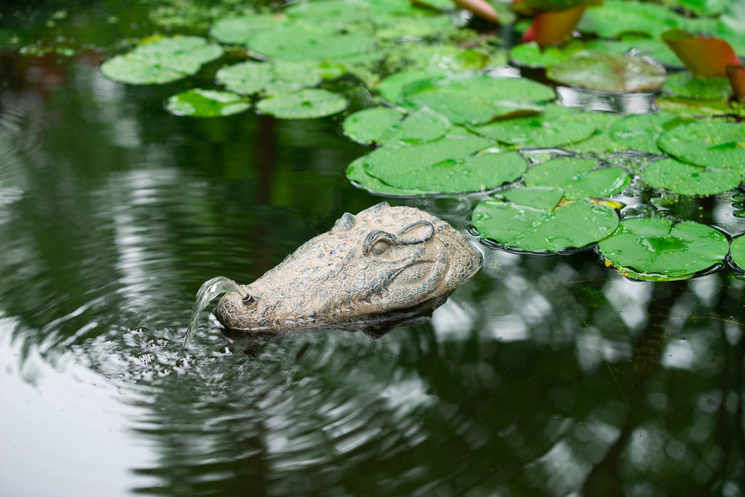Ubbink Wasserspeier »Krokodil«, Schwimmt auf dem Wasser, BxLxH: 16x34x10 cm