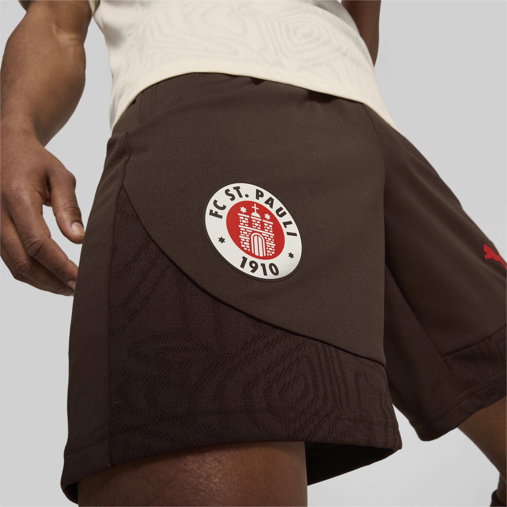 PUMA Sporthose »FC St. Pauli Trainingsshorts Herren«