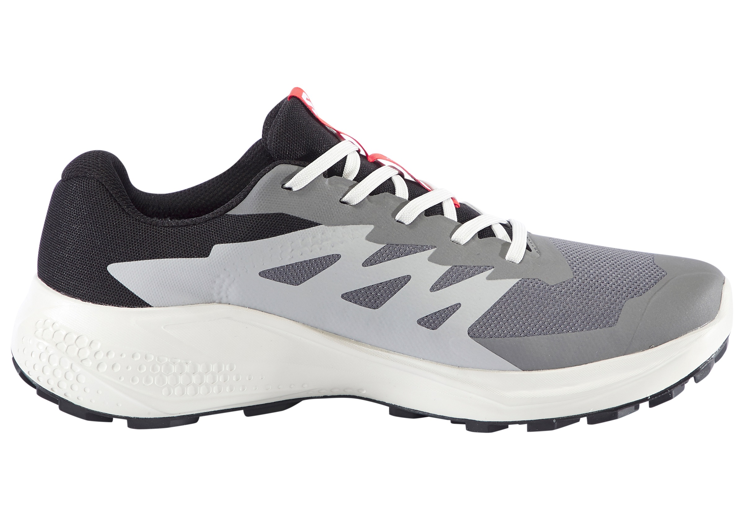 Salomon Alphaglide Gore-Tex Laufschuh Castlerock/Lunar Rock/Cherry Tomato 46 2