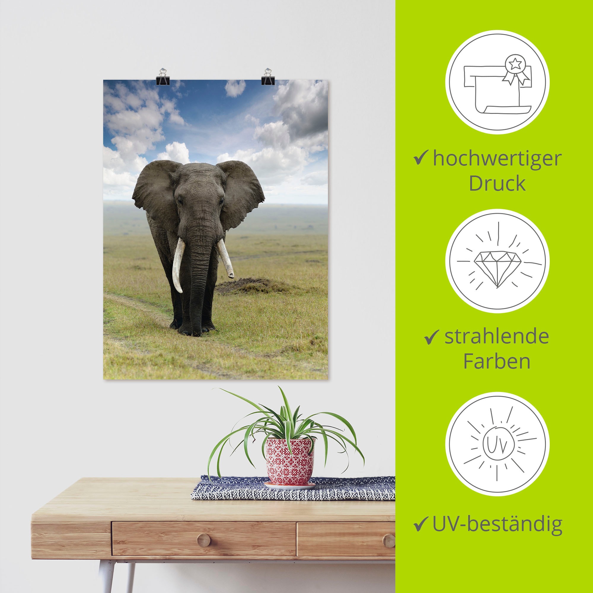 Artland Wandbild »Elefant«, Wildtiere, (1 St.), als Alubild, Outdoorbild, Leinwandbild, Poster in verschied. Größen