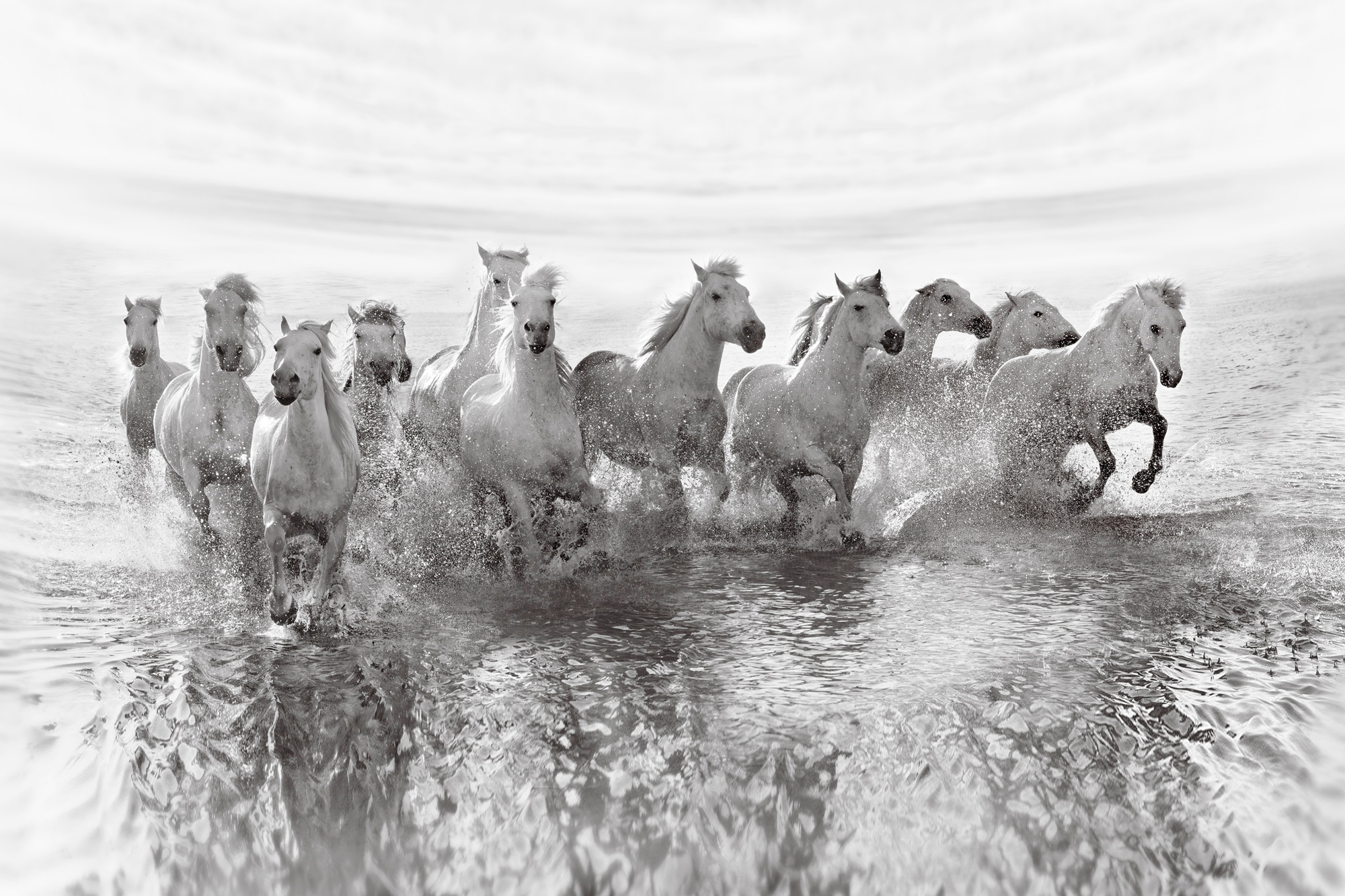 Papermoon "Photo-Art ROMAN GOLUBENKO, TÄUSCHUNG DER MACHT (13 RUNDMACHT)"