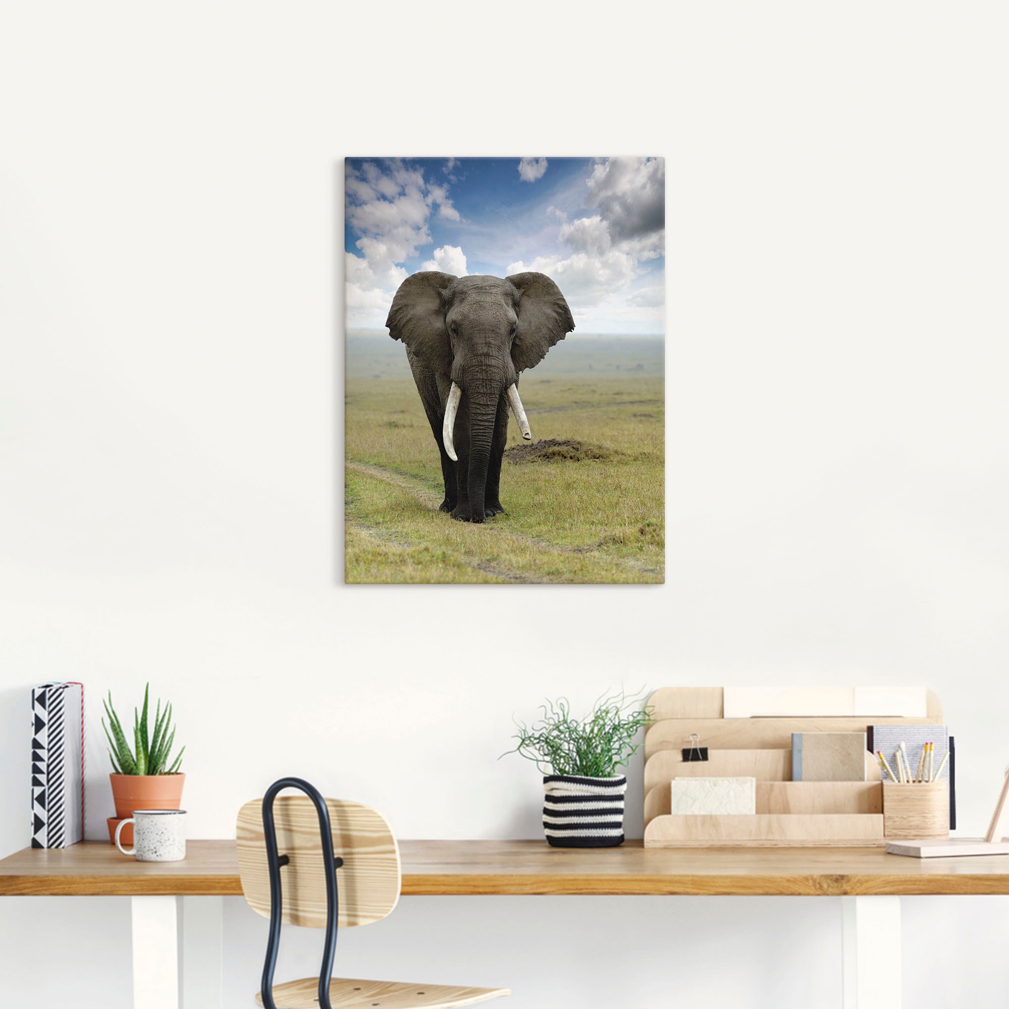 Artland Wandbild »Elefant«, Wildtiere, (1 St.), als Alubild, Outdoorbild, Leinwandbild, Poster in verschied. Größen