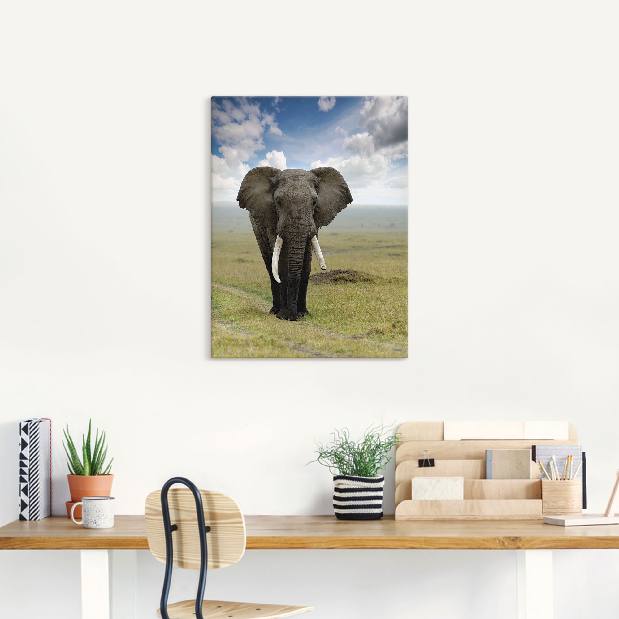 Artland Wandbild "Elefant", Wildtiere, (1 St.), als Alubild, Outdoorbild, L günstig online kaufen