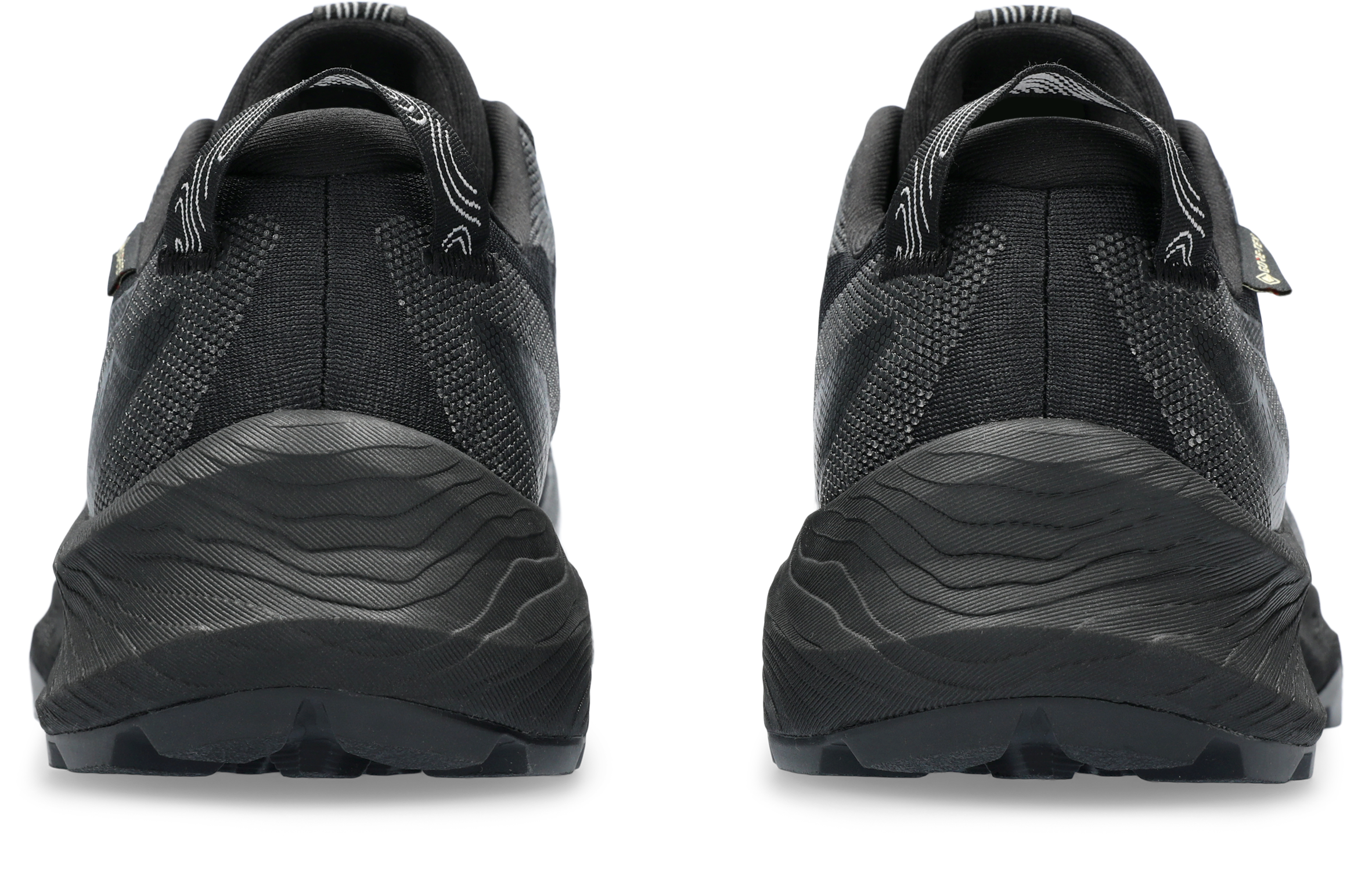 Asics Trailrunningschuh »GEL-TRABUCO 12 GTX«, Wasserdicht