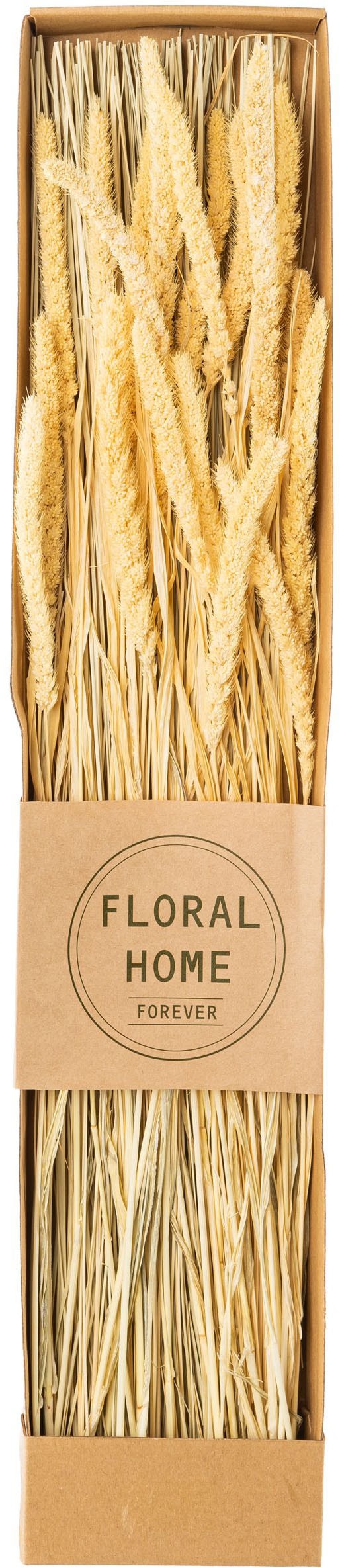 Creativ green Trockenblume »Trockenblumen-Bündel« in 3 Sorten