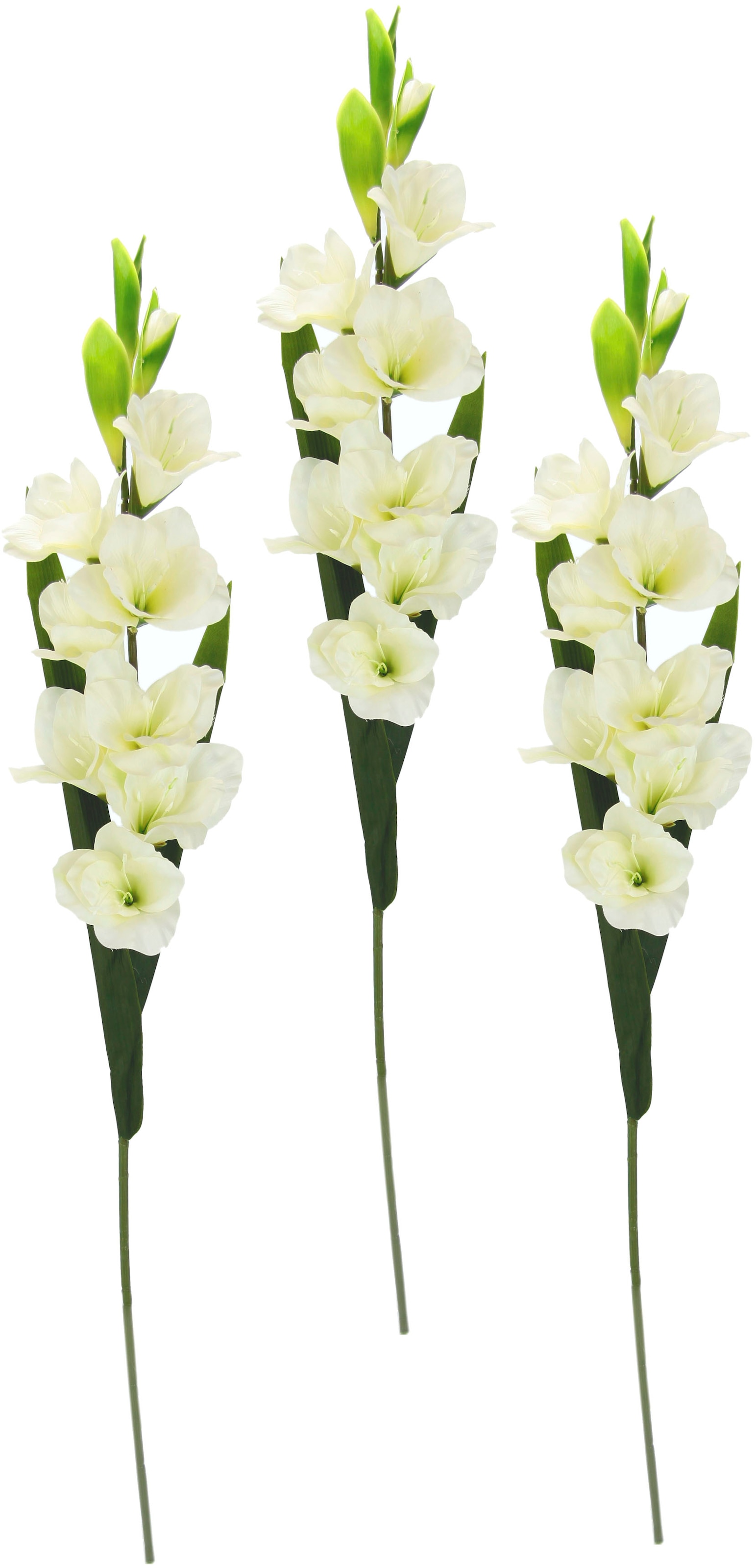 I.GE.A. Kunstblume "Gladiole", 3er Set günstig online kaufen