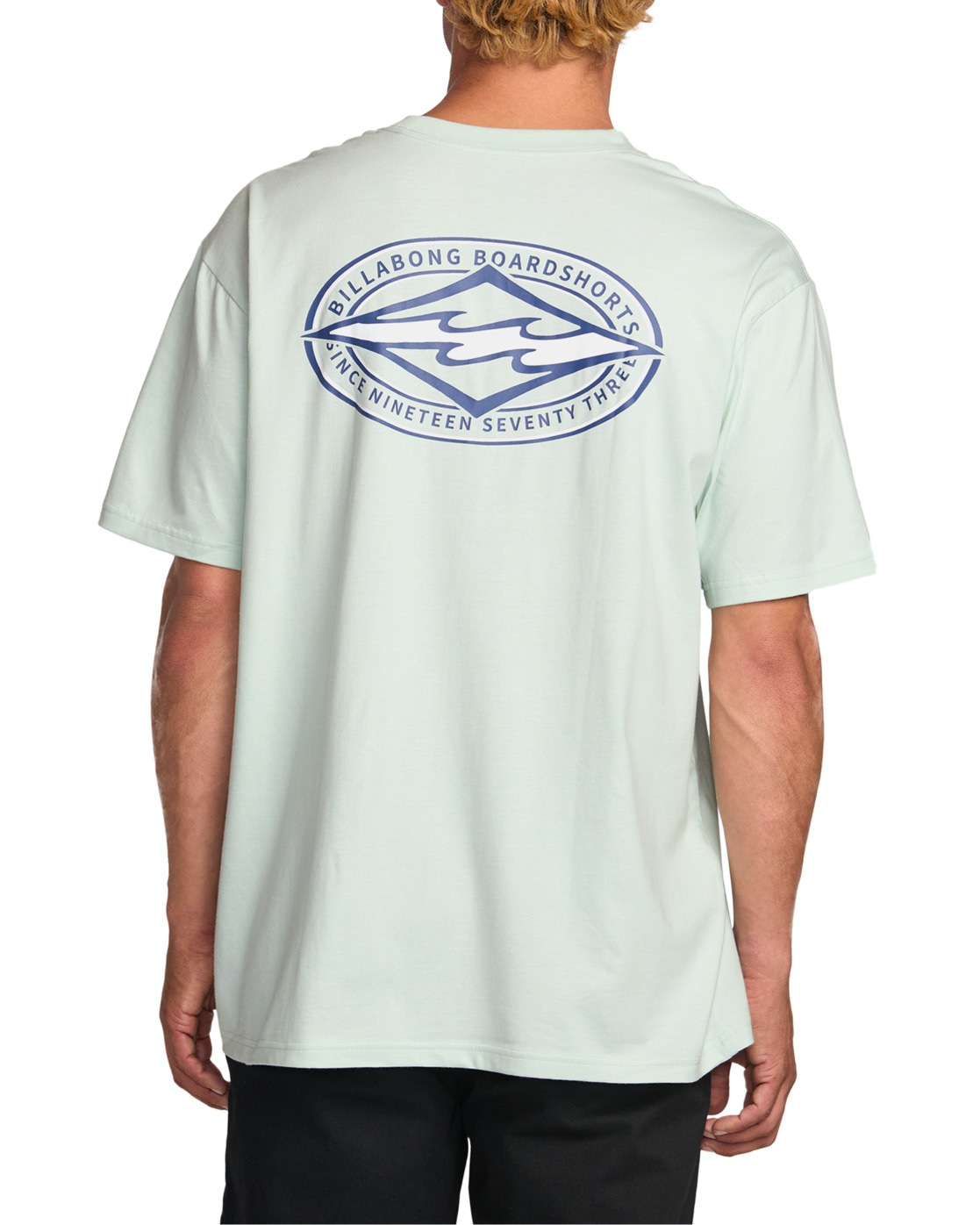 Billabong T-Shirt »Diamond Vision Regular«