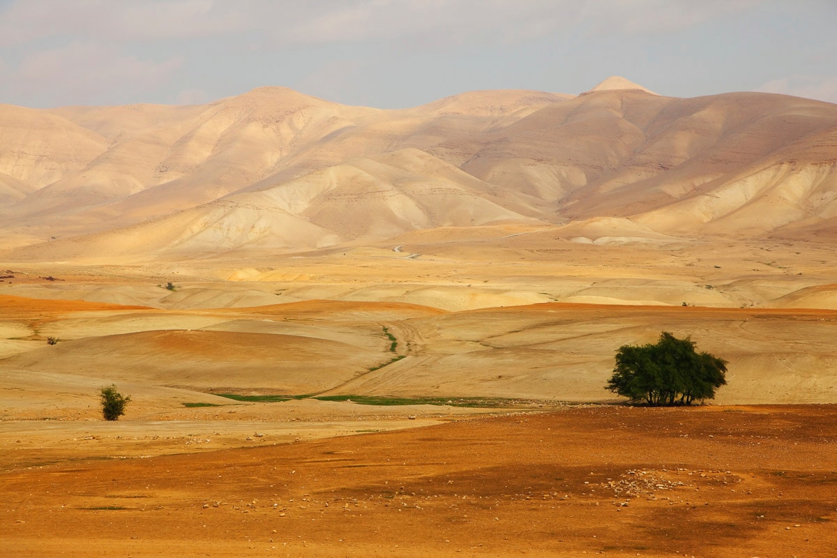 Papermoon Fototapete »Landschaft«