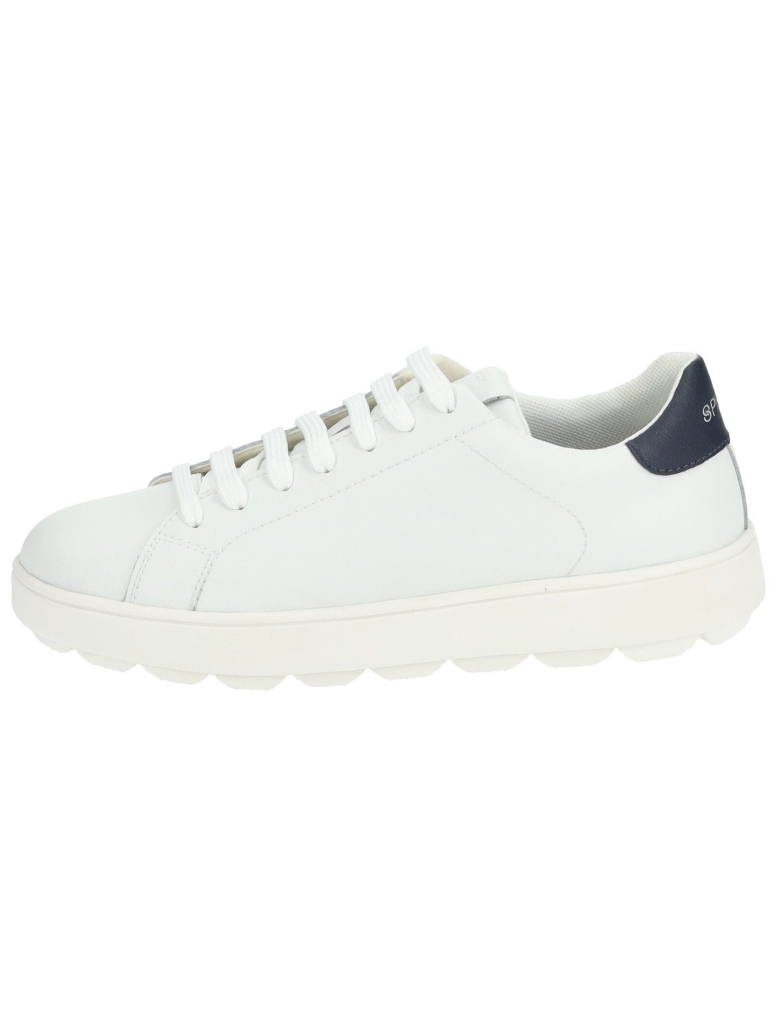 Geox Sneaker »Geox Sneaker Leder/Synthetik«