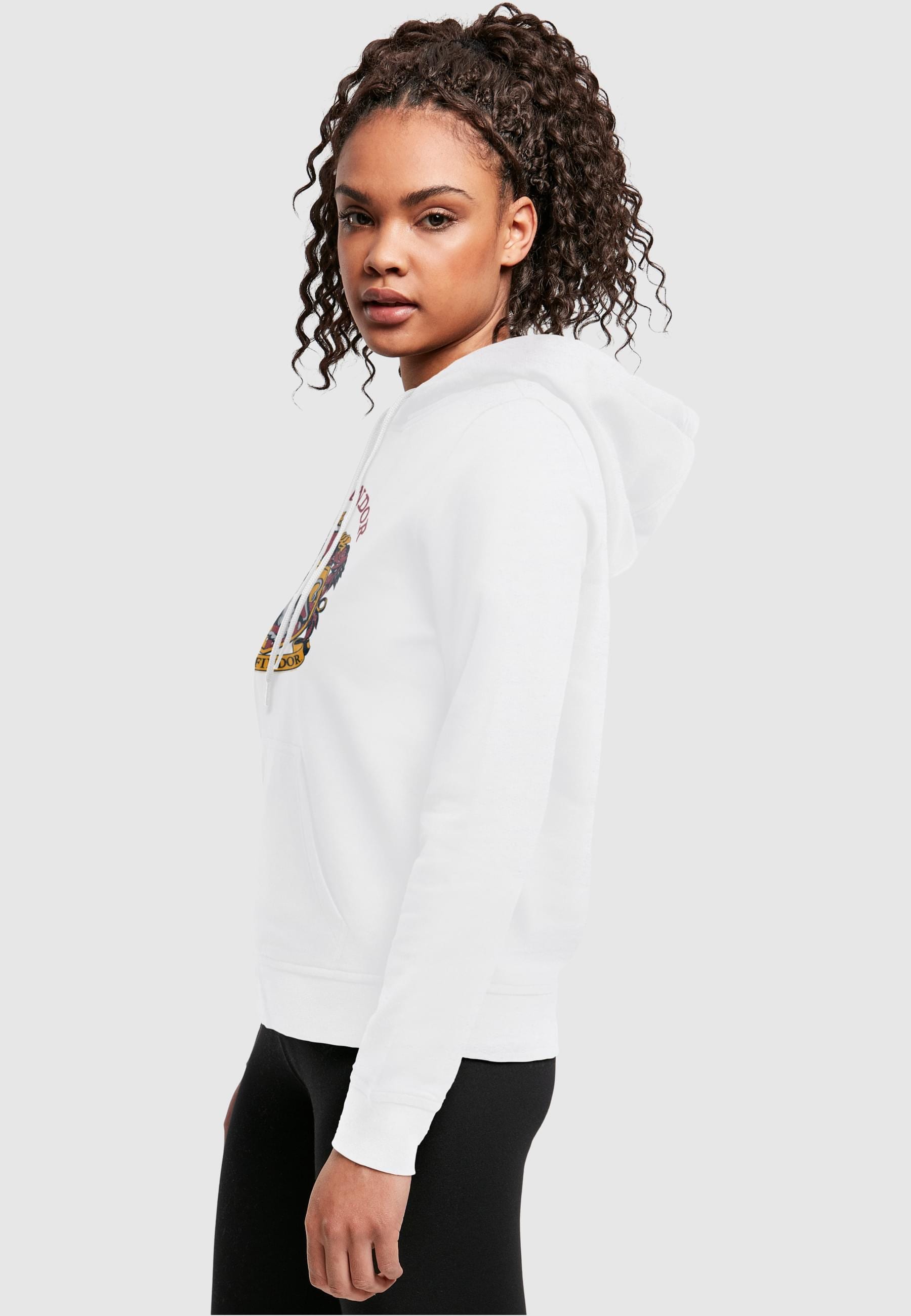 ABSOLUTE CULT Kapuzenpullover »ABSOLUTE CULT Damen Ladies Harry Potter - Gryffindor Crest Hoody«, (1 tlg.)