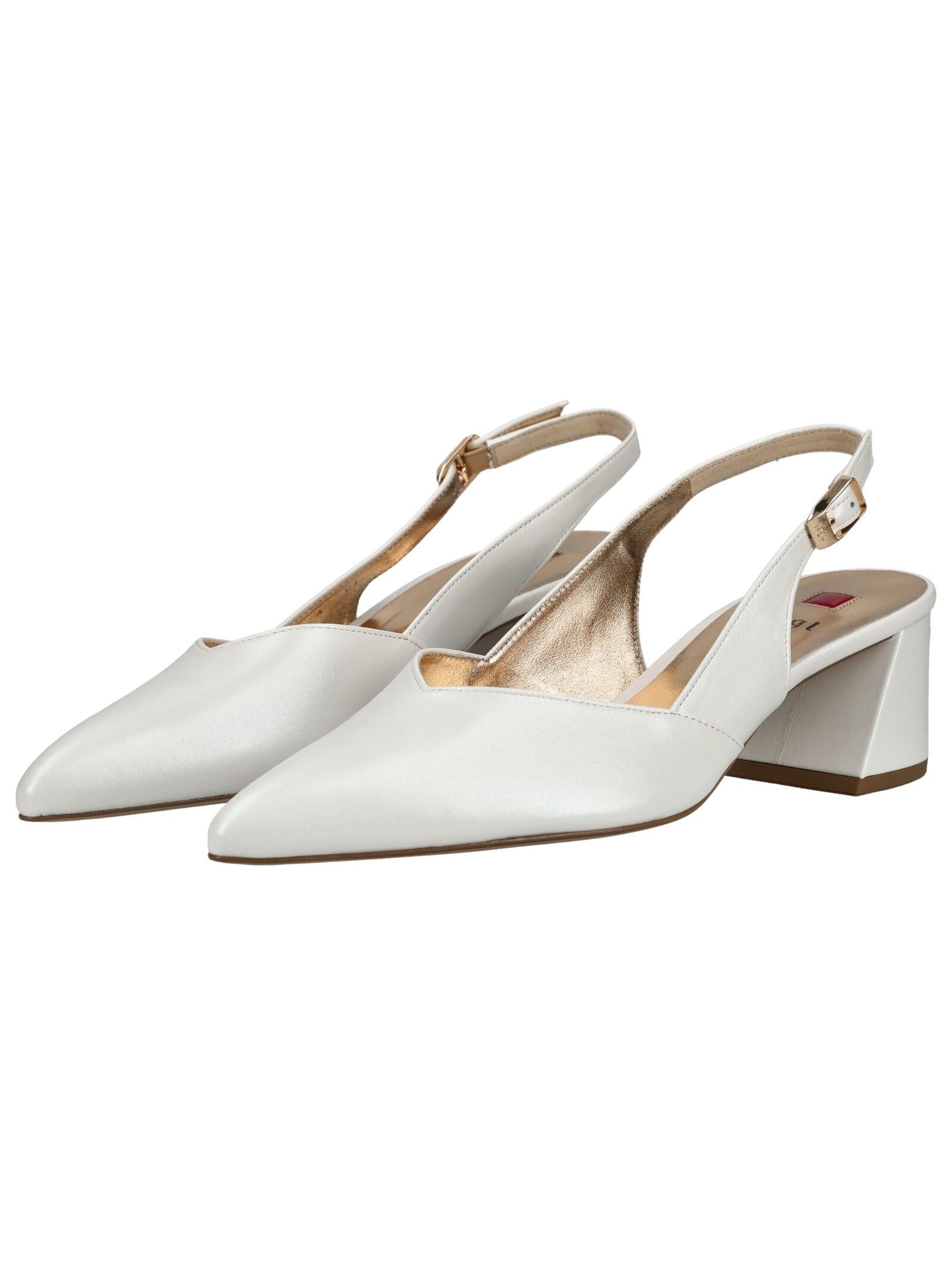 Högl Pumps »Högl Pumps Glattleder«