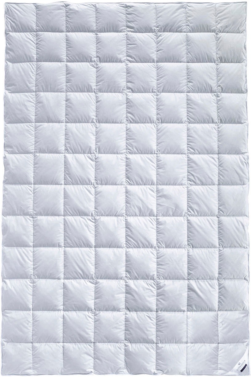 Thumbnail - billerbeck Daunenbettdecke "Eliana 90, Bettdecke in 135x200, 155x220, 200x200 cm, Sommer" leicht Füllung 90Daunen10Feder...