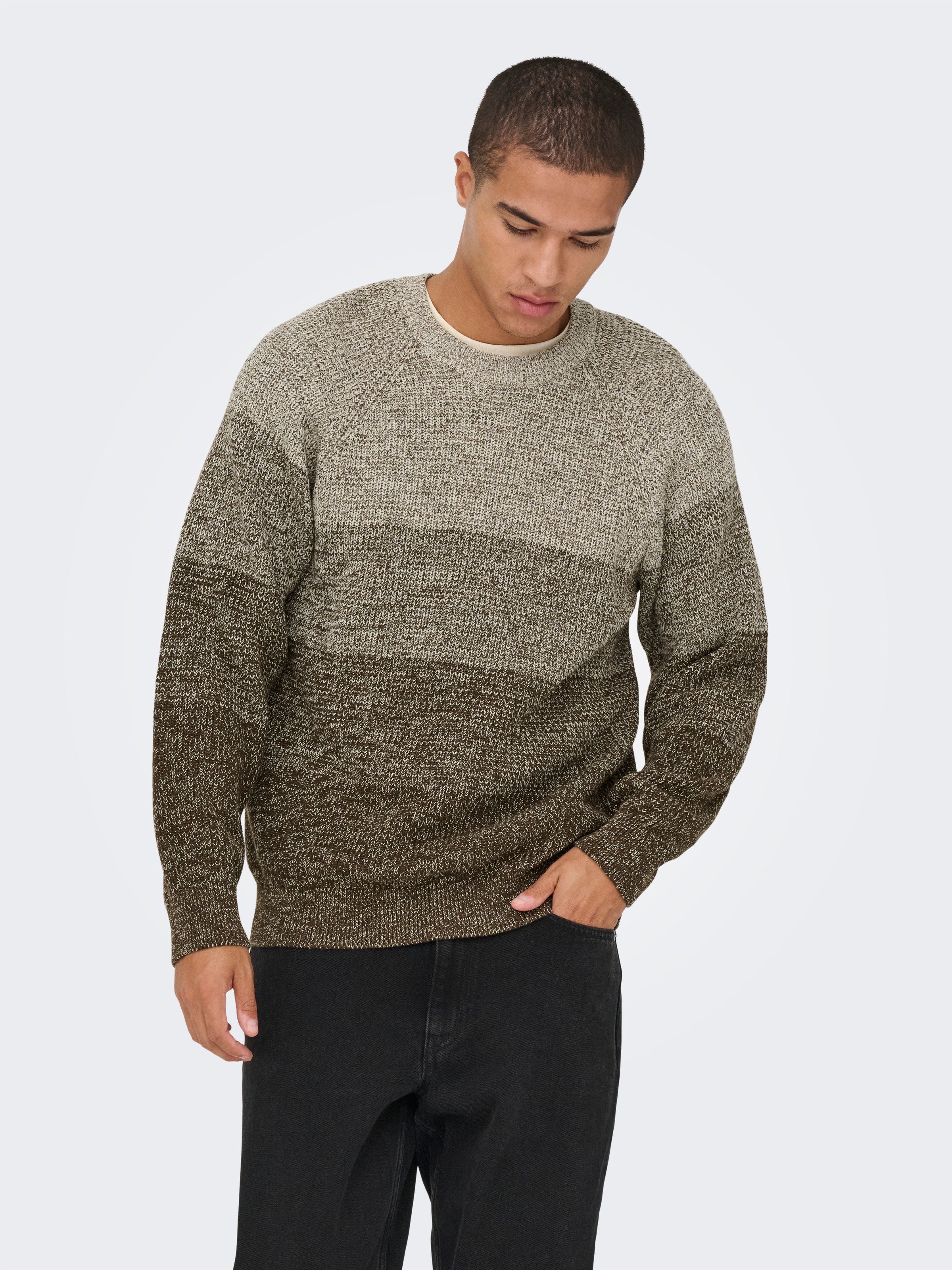 ONLY & SONS Rundhalspullover "ONSBIRK RLX LS RAGLAN KNIT CAMP" günstig online kaufen