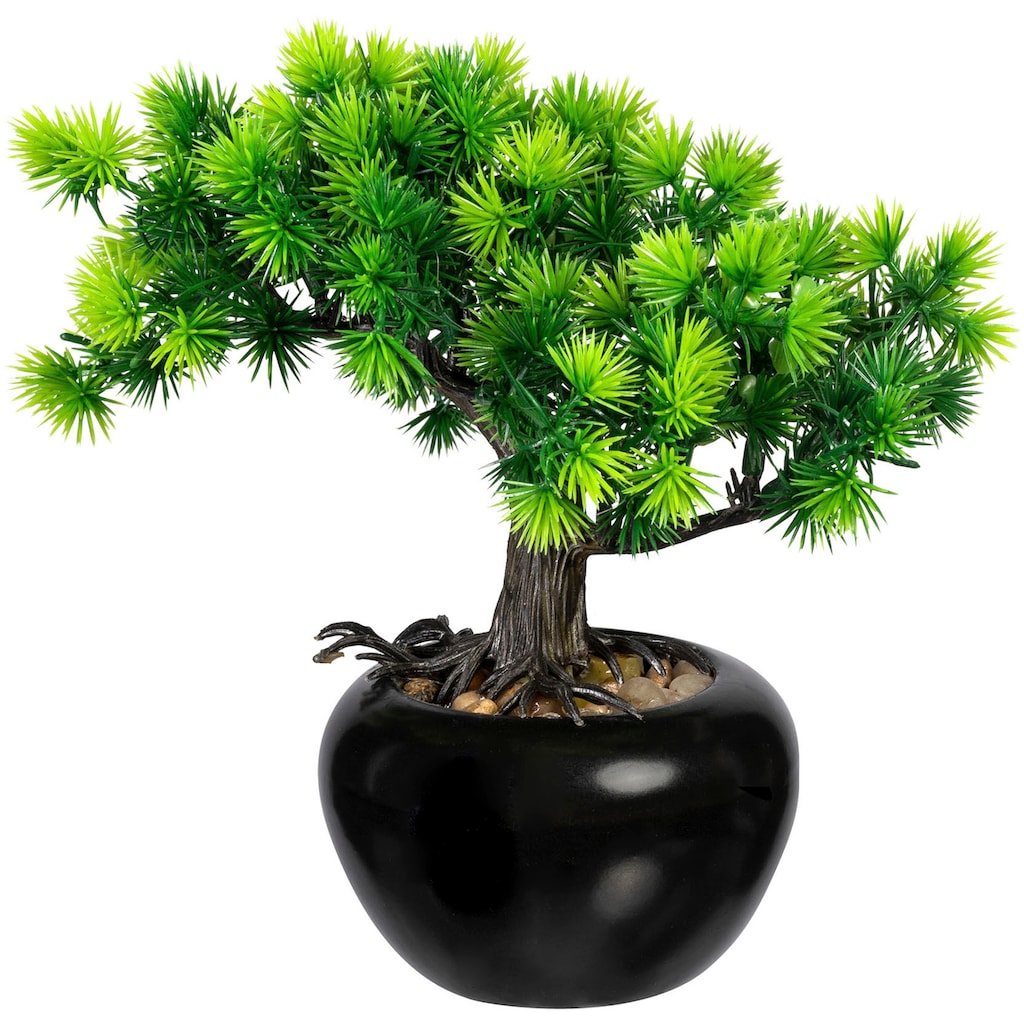 Creativ green Kunstbonsai »Bonsai Lärche«, im Keramiktopf, 2er Set