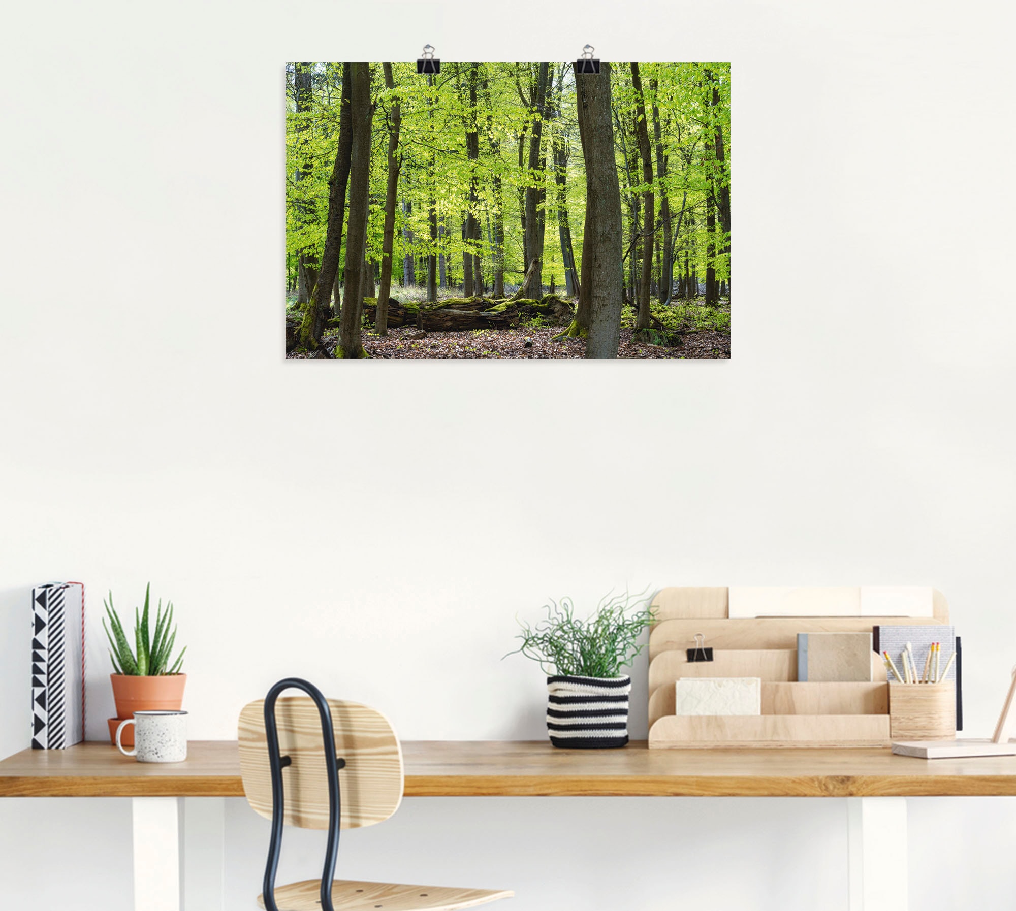 Artland Poster "Laubwald im Frühjahr", Wald, (1 St.), als Alubild, Leinwand günstig online kaufen