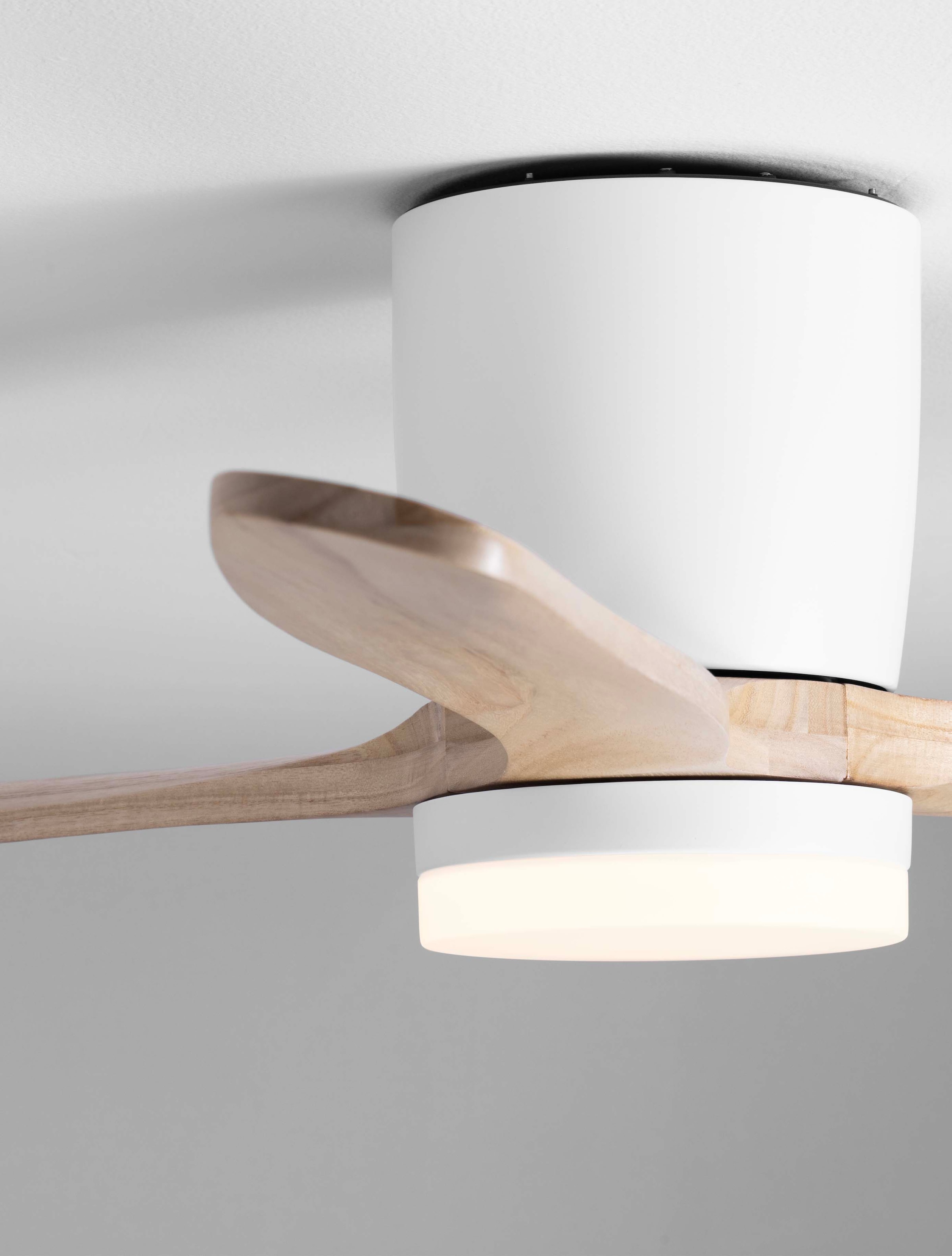 Nova Luce Deckenleuchte »ALOA«, 1 flammig