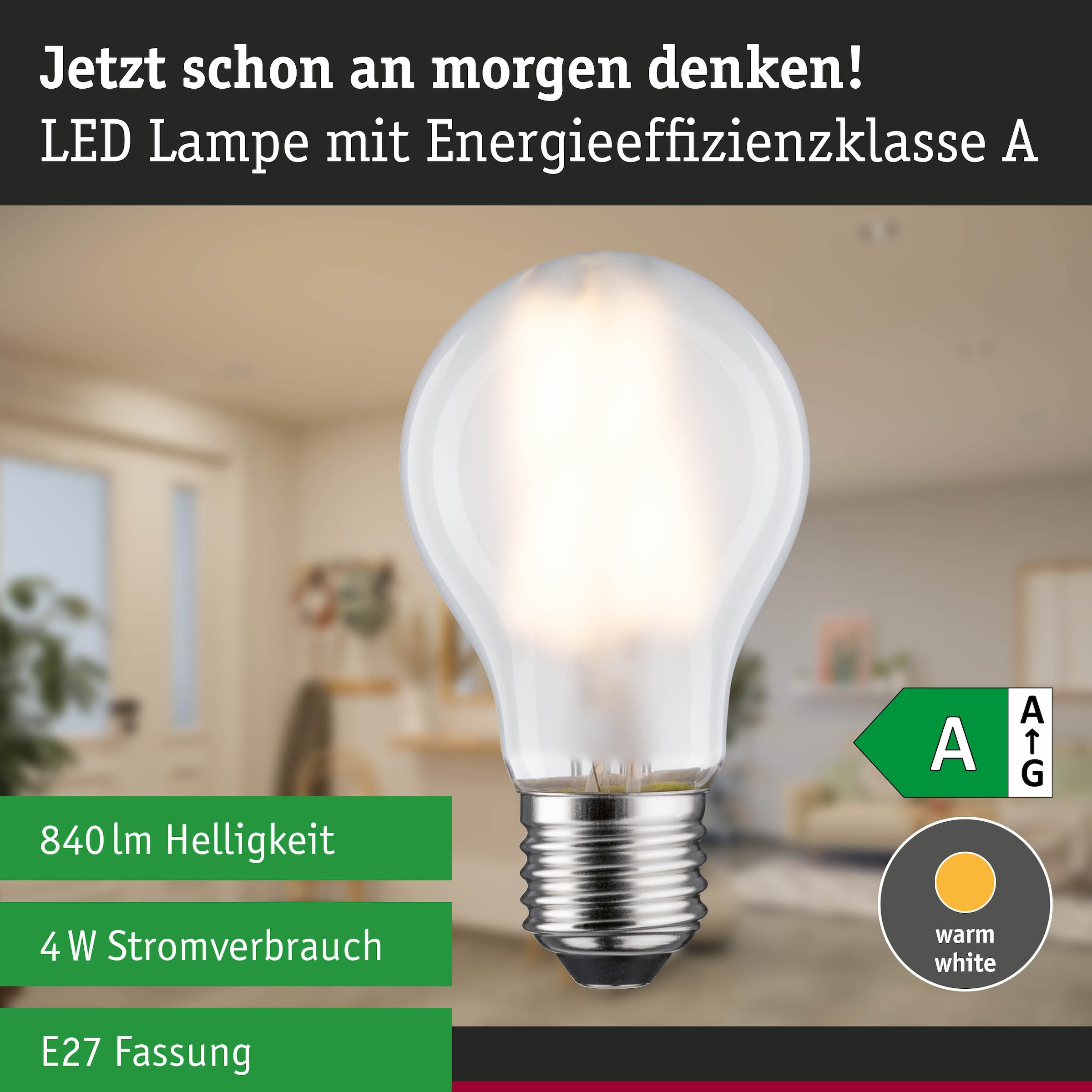 Paulmann LED-Leuchtmittel »Efficient-Line Filament 230V LED Birne E27 1er-Set 840lm 4W 3000K Matt« E27 1 Stk. Warmweiß