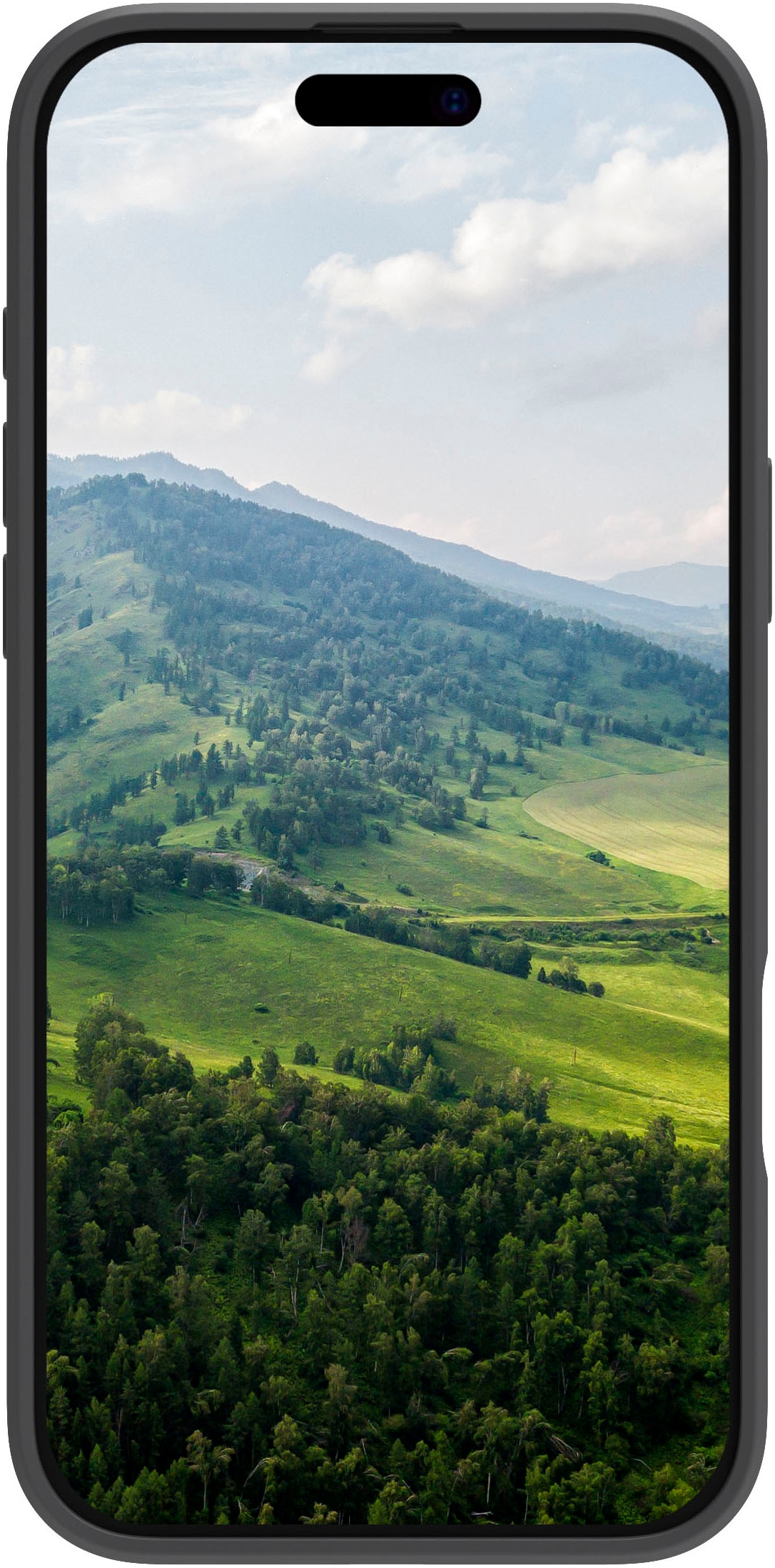 dbramante1928 Smartphone-Hülle »Greenland Pro Magsafe iPhone 16 Pro«, Smartphones