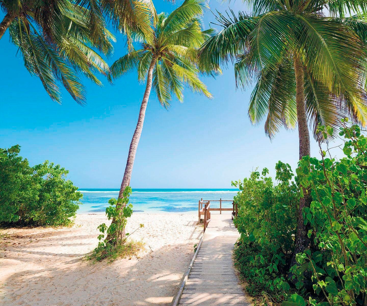 Komar Vliestapete »Palmy Beach« 300x250 cm (...