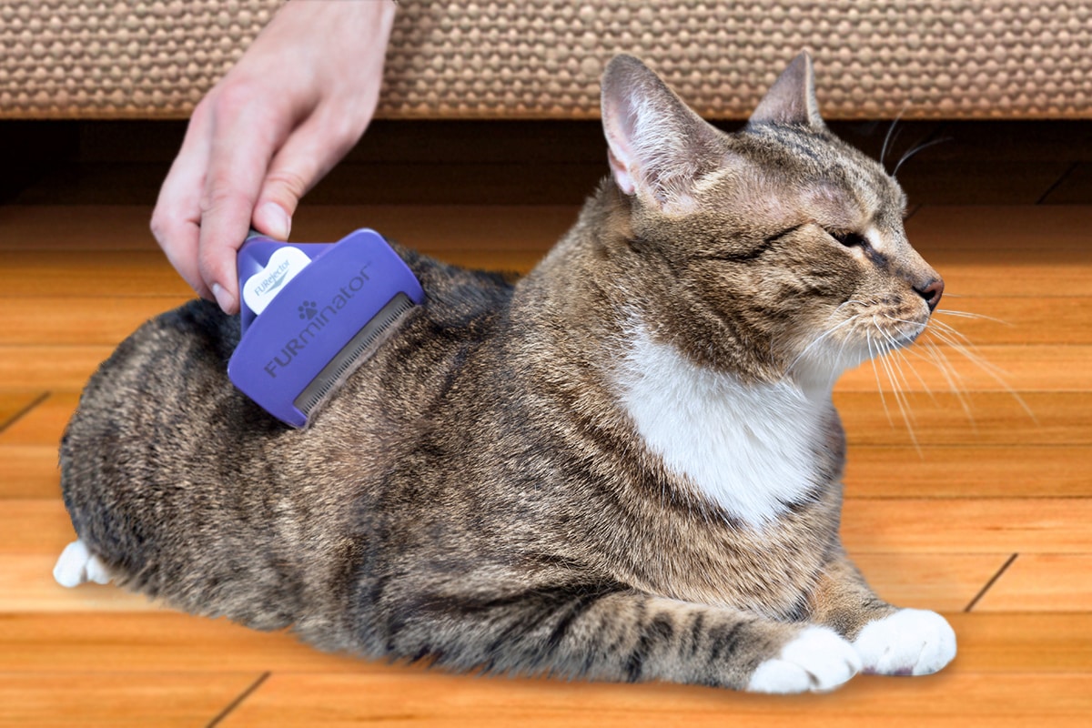 FURminator Fellbürste »M/L«, Metall, Langhaarpflege für mittelgroße Katzen