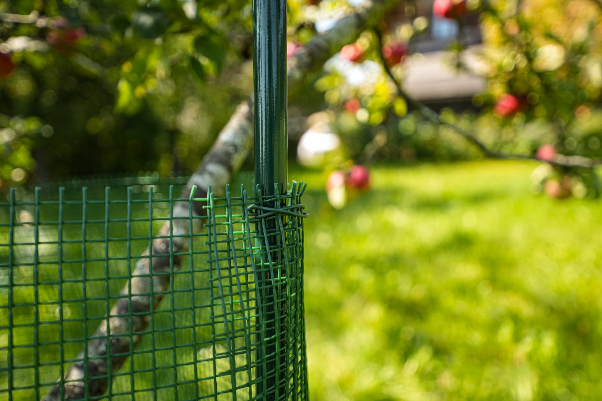 Windhager Voliere »für ein kleines Gehege für Kleintiere, Maschengewebe« Outdoor, witterungsbeständiges HDPE-Netz, Kunststoff 10 x 10 mm, grün