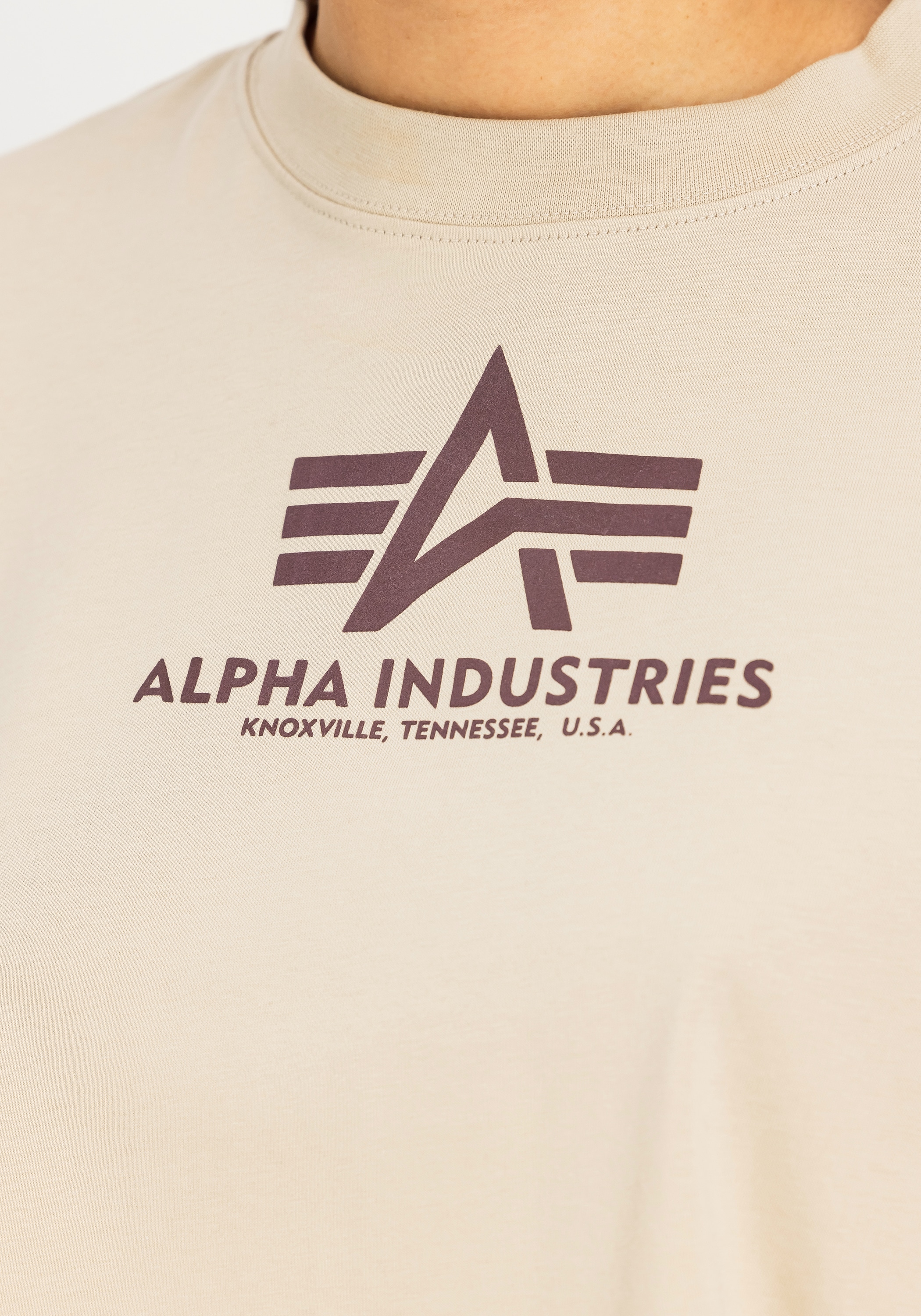 Alpha Industries T-Shirt »Basic T-Shirt BL Cropped PP W«